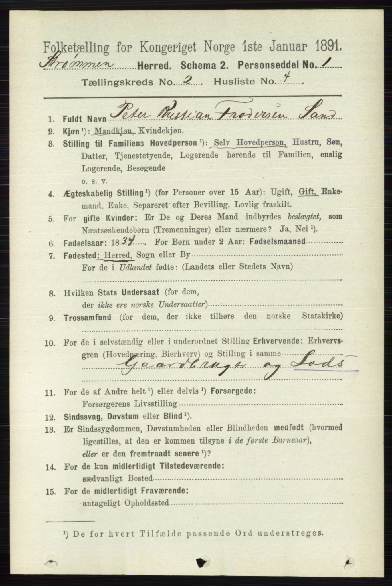 RA, 1891 census for 0711 Strømm, 1891, p. 713