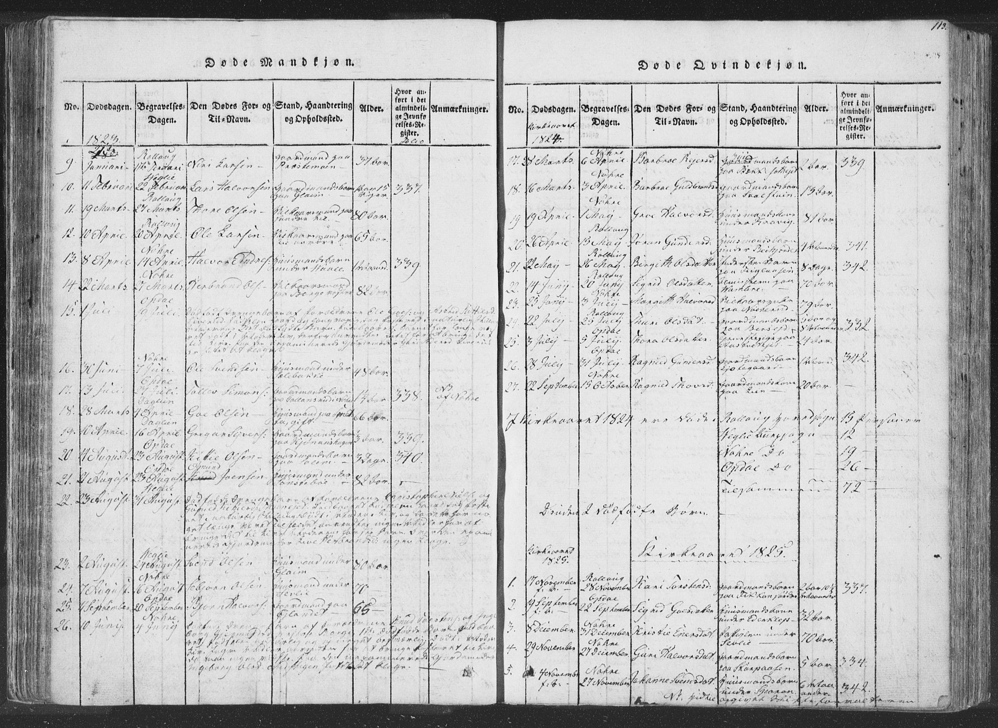 Rollag kirkebøker, AV/SAKO-A-240/F/Fa/L0006: Parish register (official) no. I 6, 1814-1828, p. 113