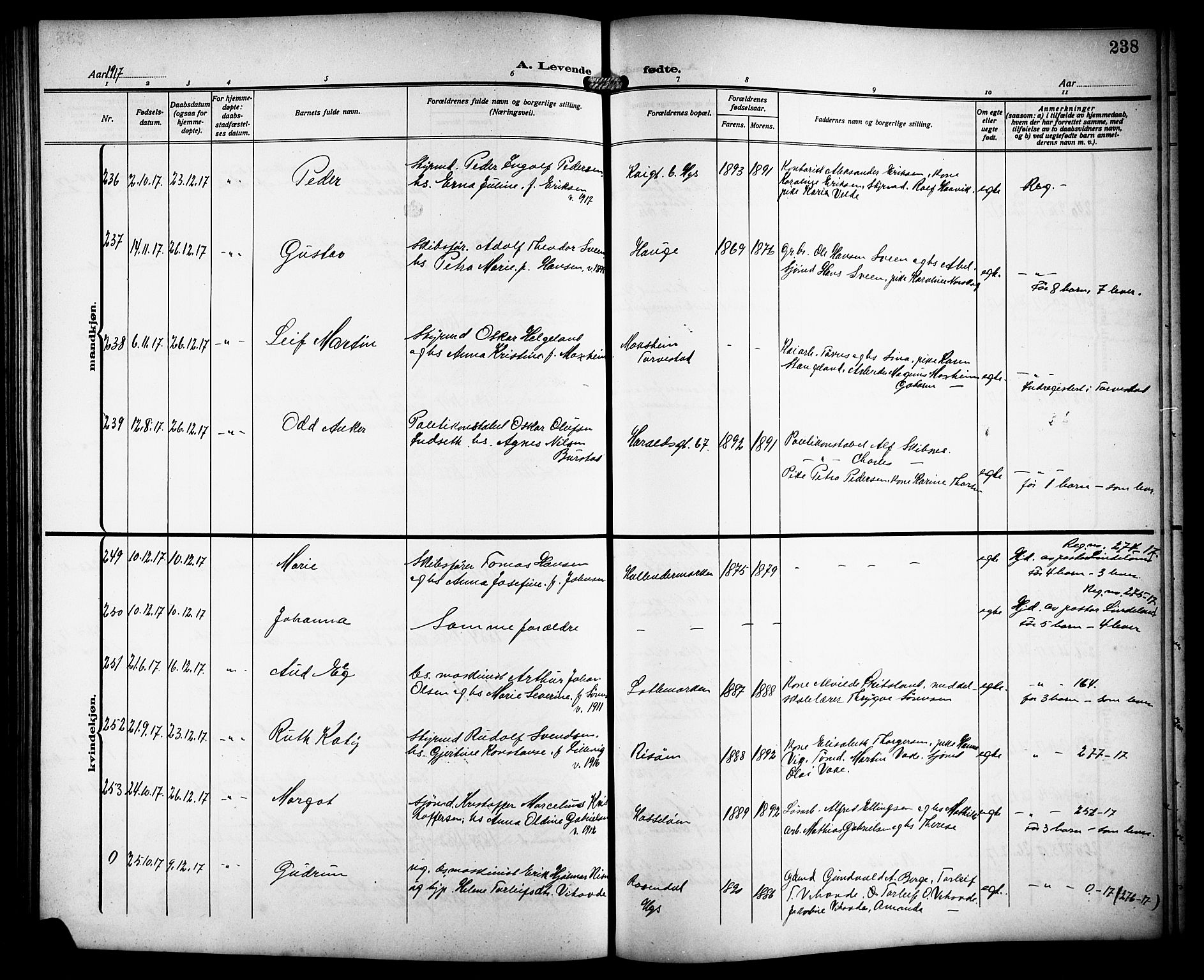 Haugesund sokneprestkontor, AV/SAST-A -101863/H/Ha/Hab/L0007: Parish register (copy) no. B 7, 1909-1920, p. 238