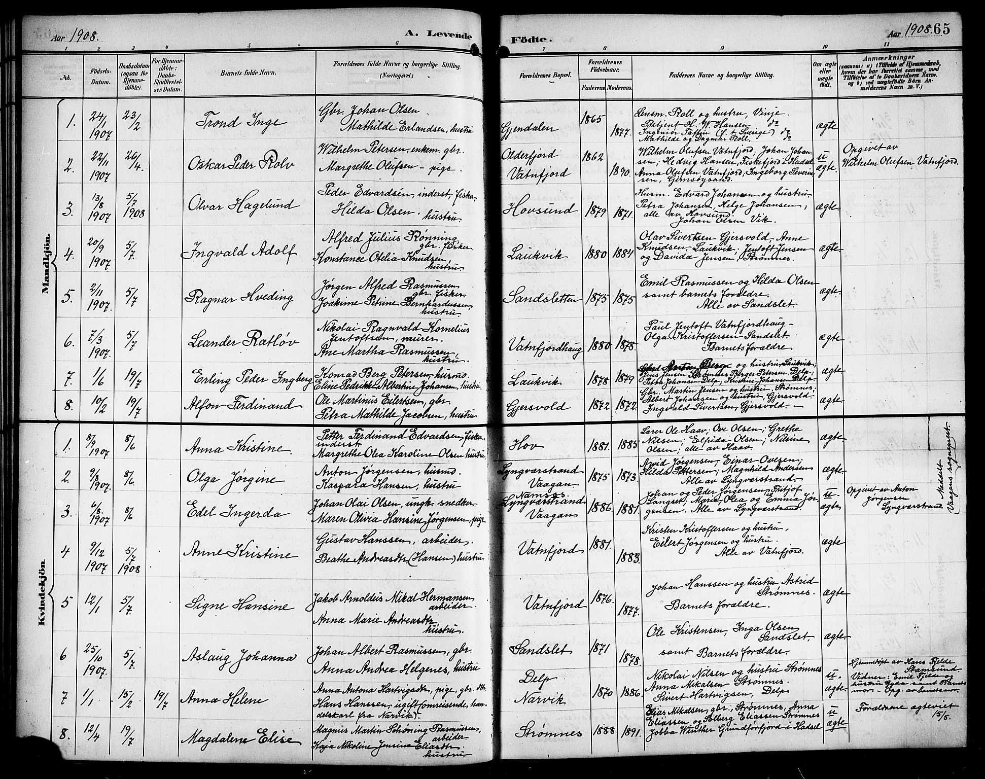 Ministerialprotokoller, klokkerbøker og fødselsregistre - Nordland, AV/SAT-A-1459/876/L1105: Parish register (copy) no. 876C04, 1896-1914, p. 65