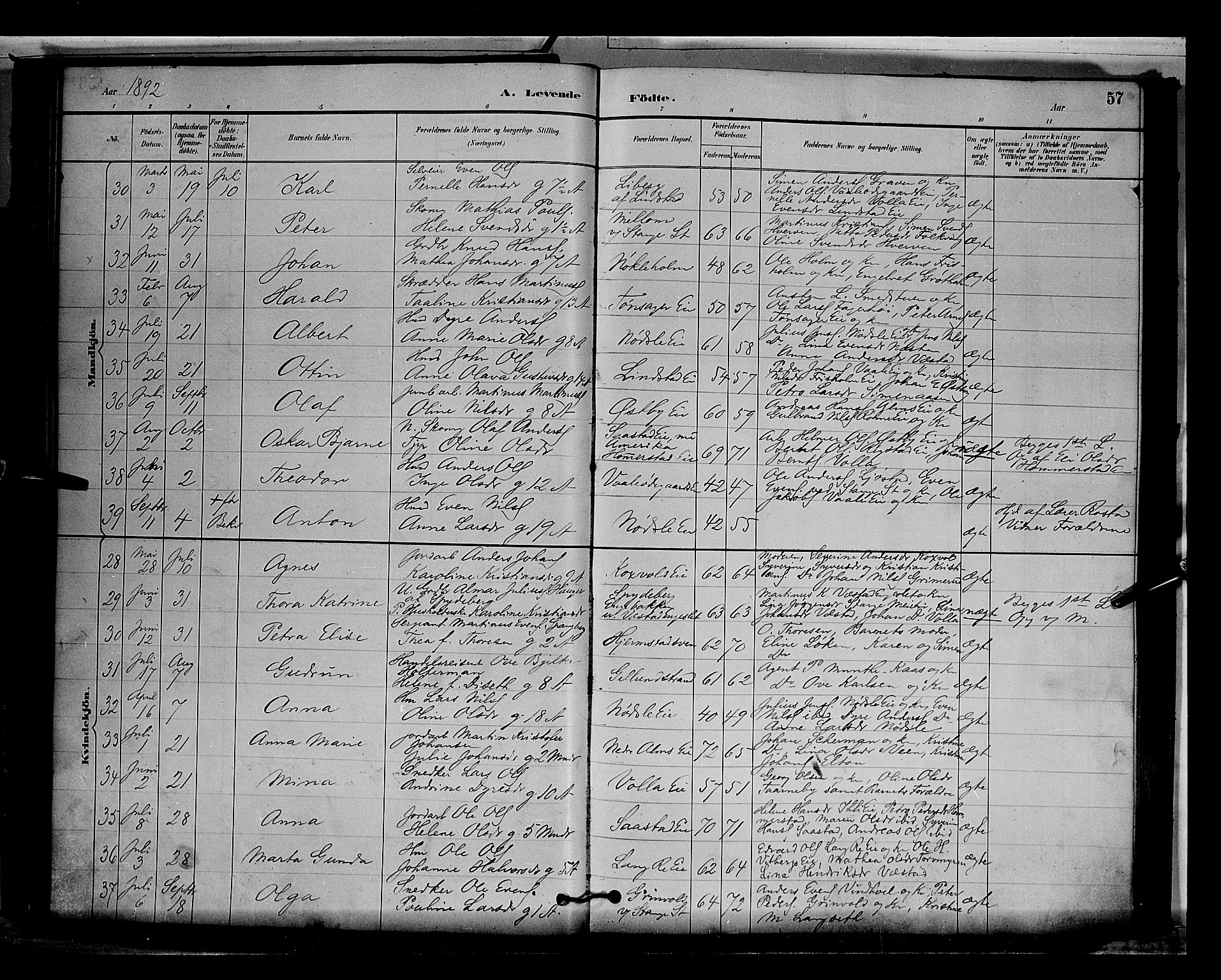 Stange prestekontor, AV/SAH-PREST-002/L/L0009: Parish register (copy) no. 9, 1883-1899, p. 58