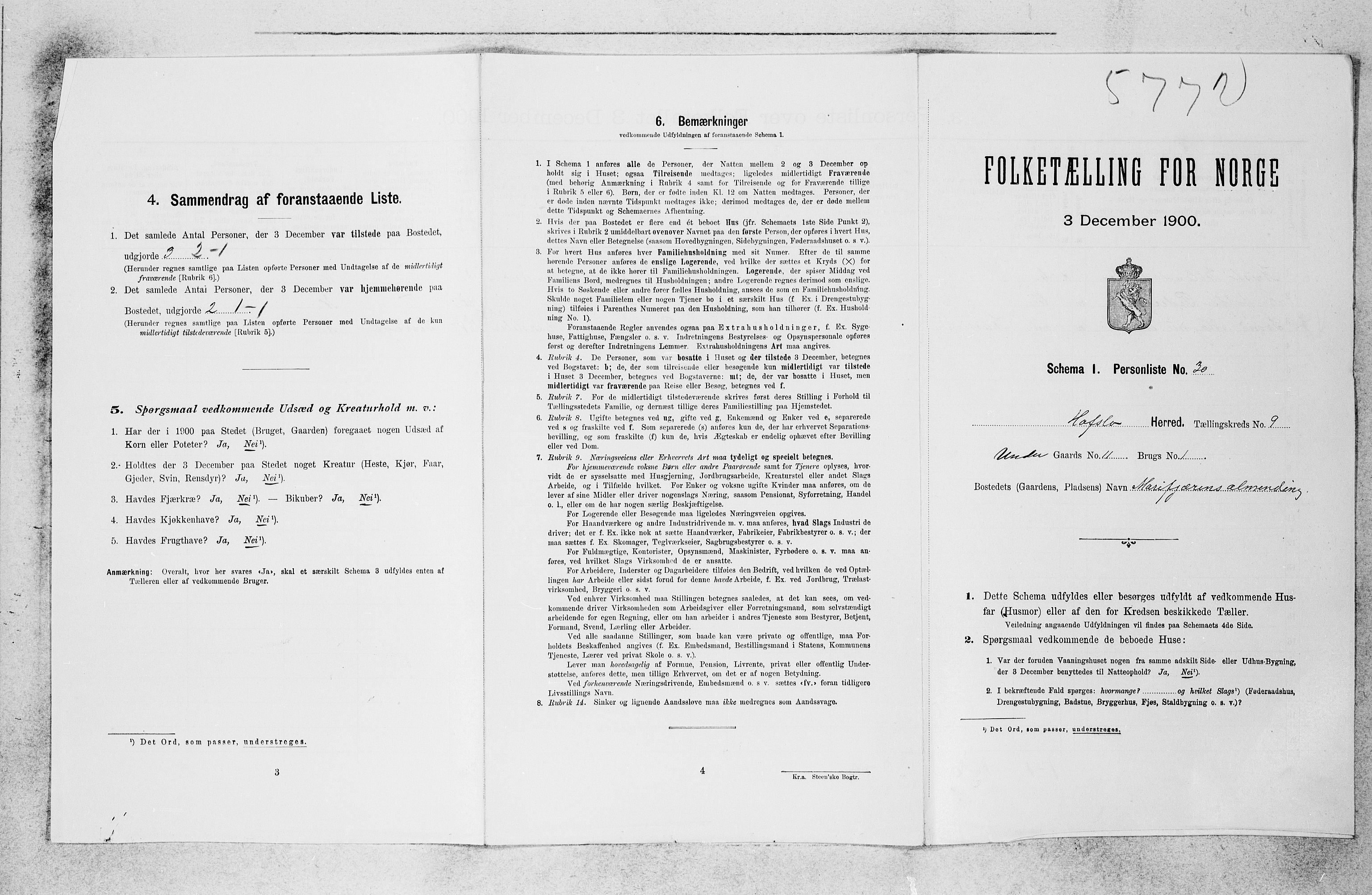 SAB, 1900 census for Hafslo, 1900, p. 994