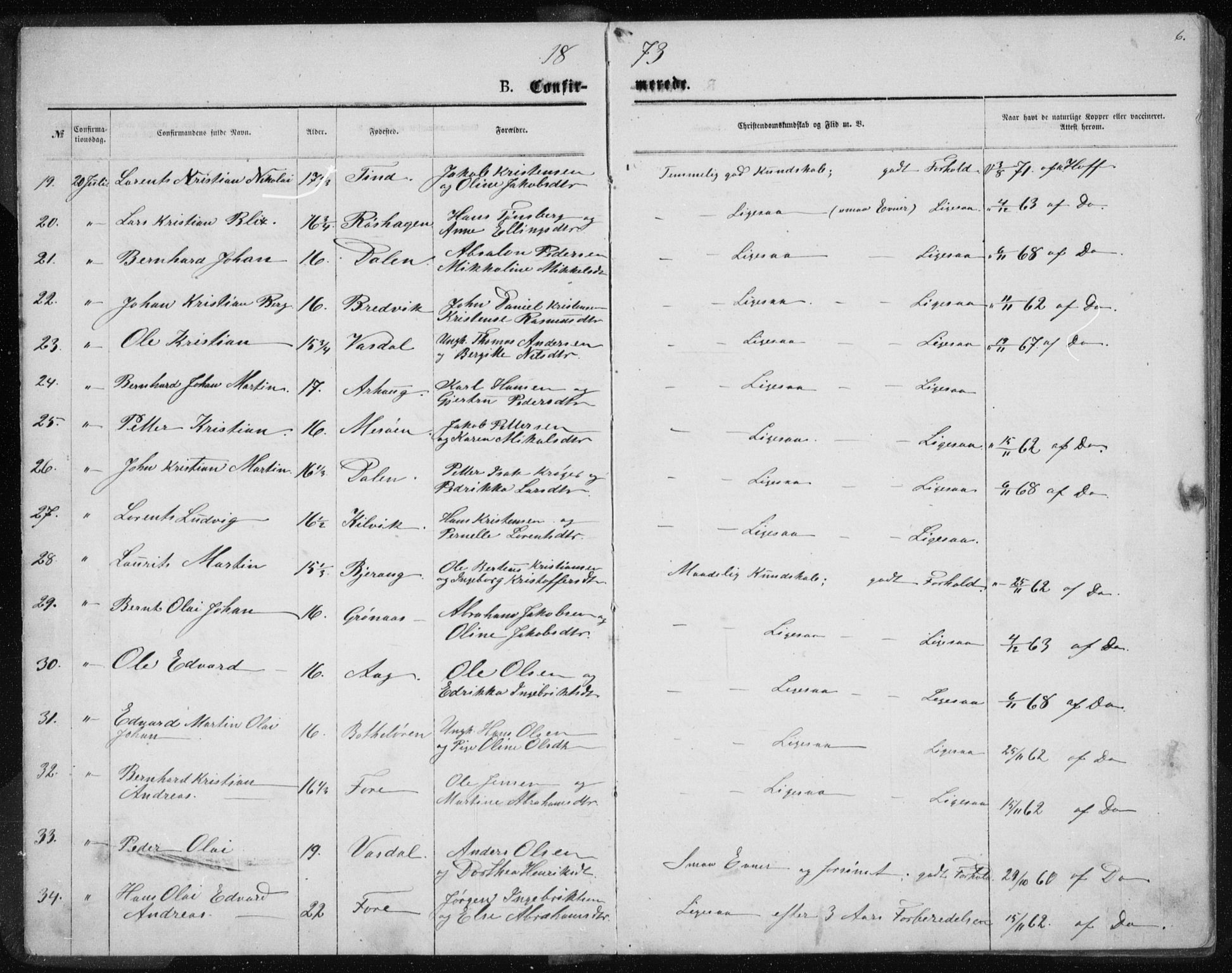 Ministerialprotokoller, klokkerbøker og fødselsregistre - Nordland, AV/SAT-A-1459/843/L0635: Parish register (copy) no. 843C04, 1872-1887, p. 6