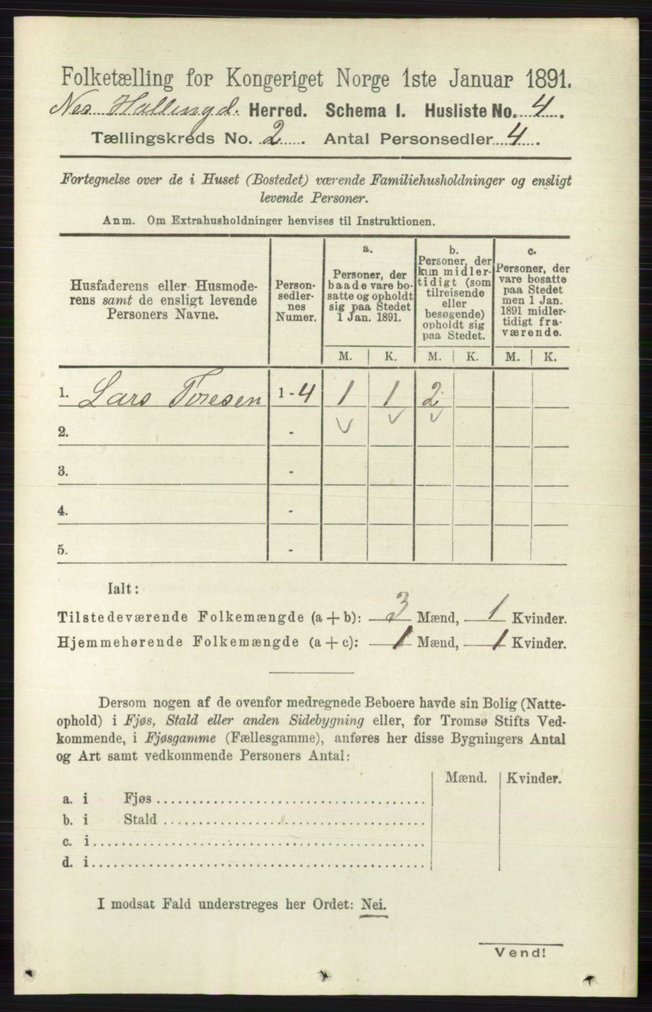 RA, 1891 census for 0616 Nes, 1891, p. 911