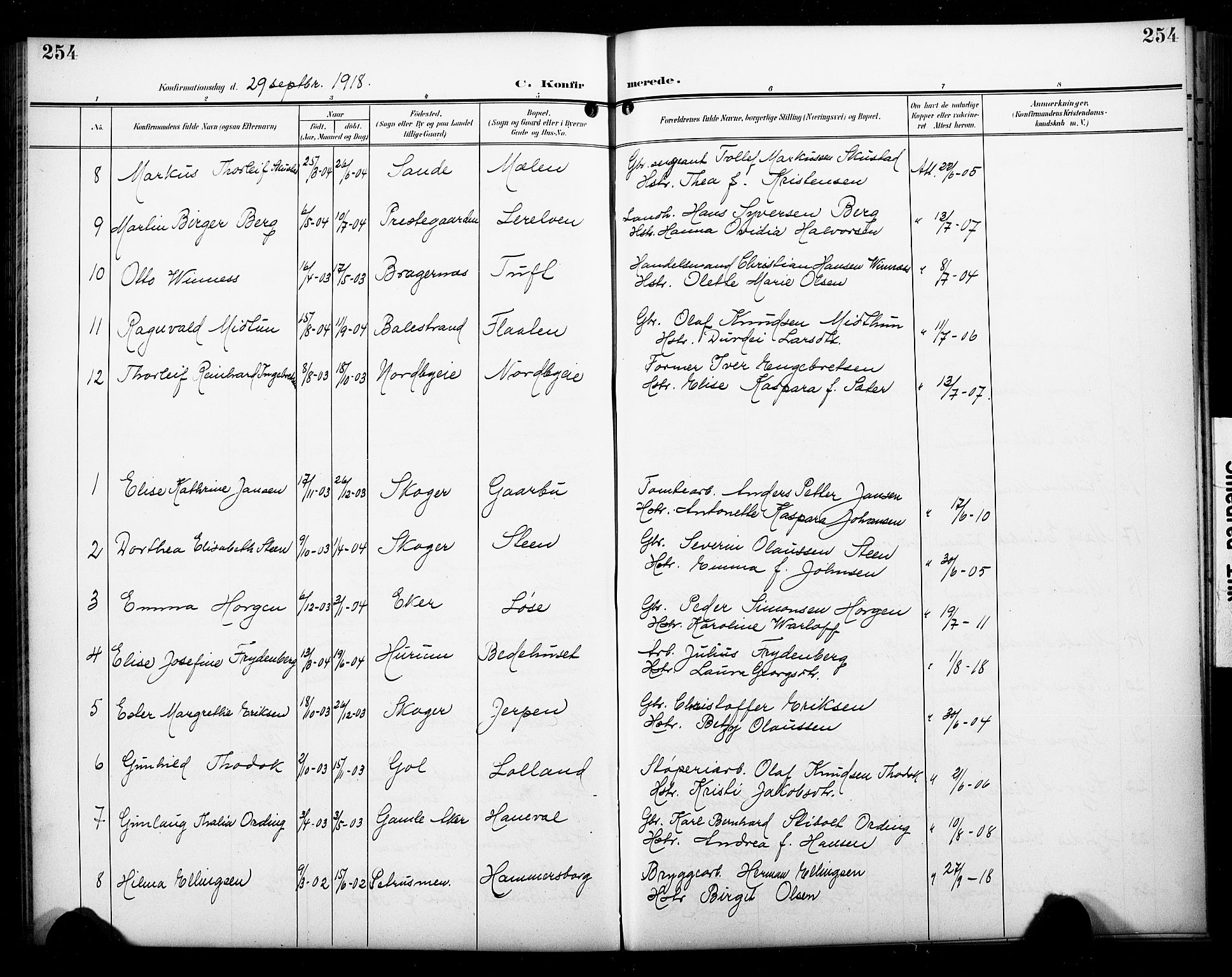 Skoger kirkebøker, SAKO/A-59/G/Ga/L0003: Parish register (copy) no. I 3, 1900-1927, p. 254