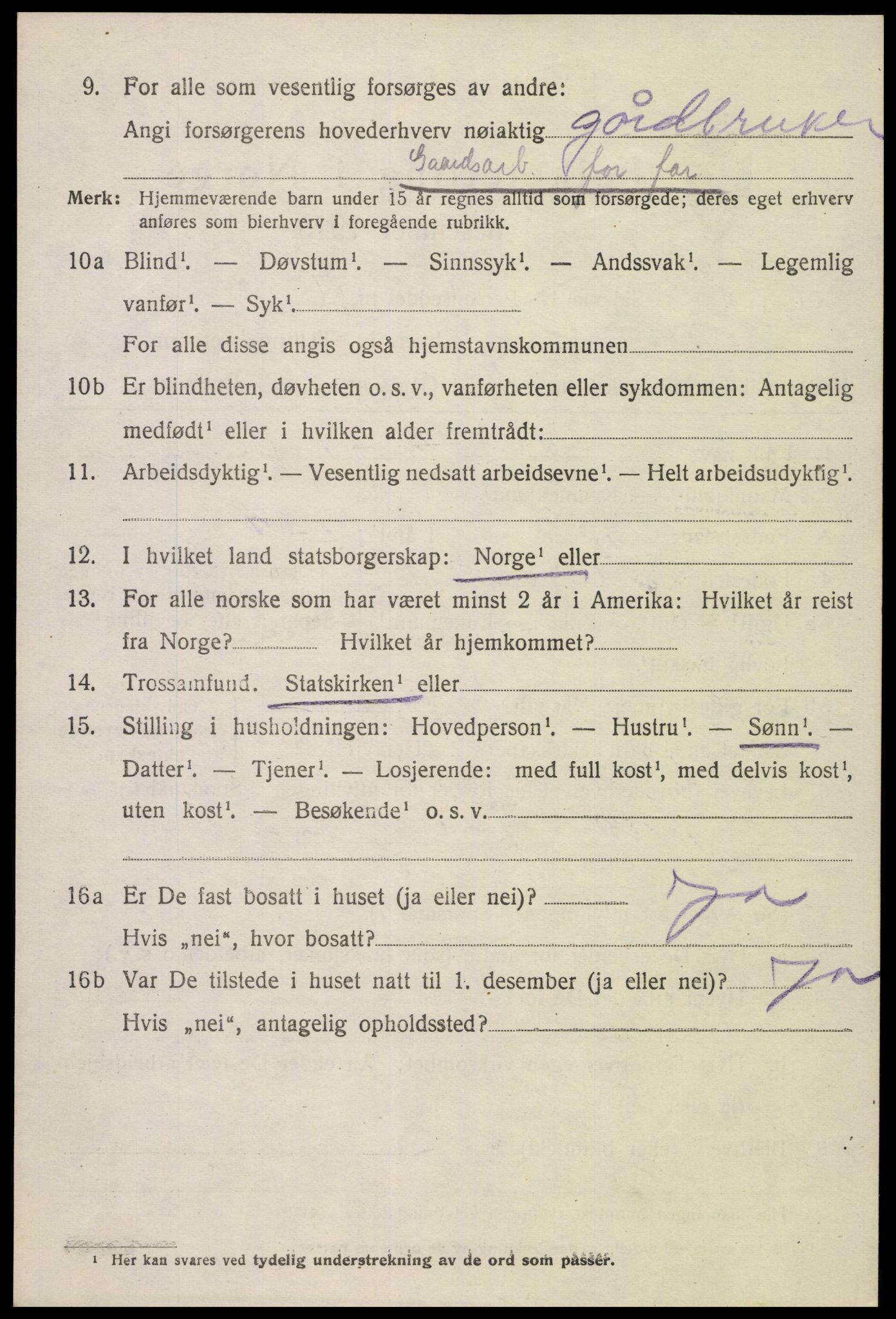 SAK, 1920 census for Hornnes, 1920, p. 686