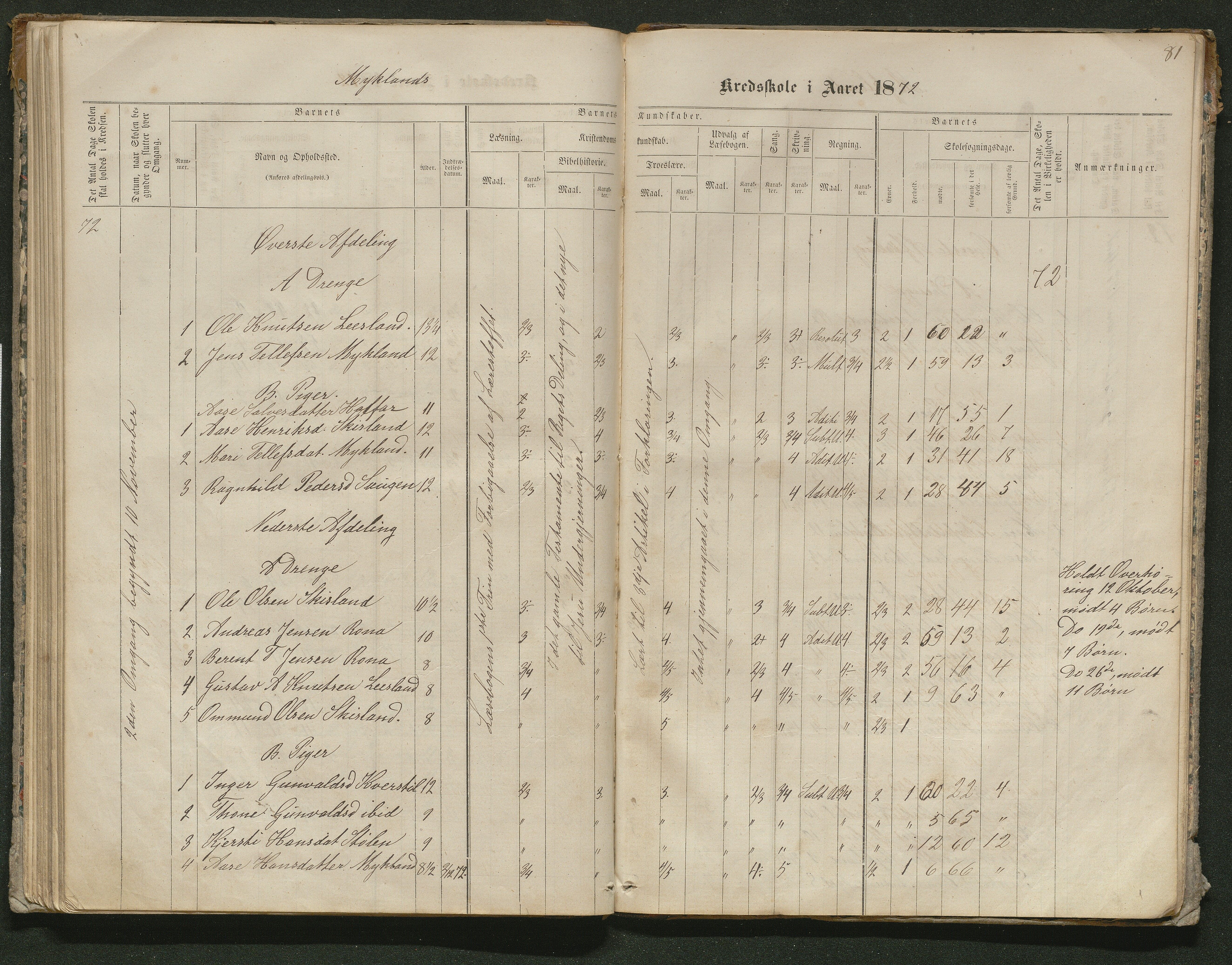 Iveland kommune, De enkelte kretsene/Skolene, AAKS/KA0935-550/A_10/L0005: Skoleprotokoll for Frøyså og Mykland krets, 1864-1881, p. 81