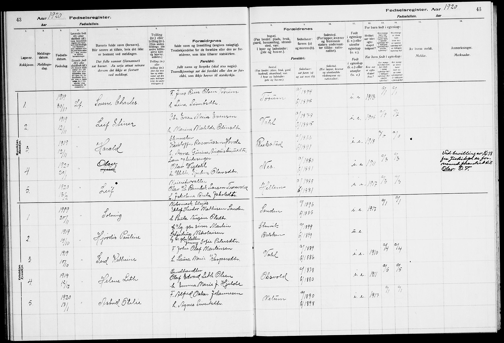Ministerialprotokoller, klokkerbøker og fødselsregistre - Sør-Trøndelag, SAT/A-1456/651/L0650: Birth register no. 651.II.4.1, 1916-1923, p. 43