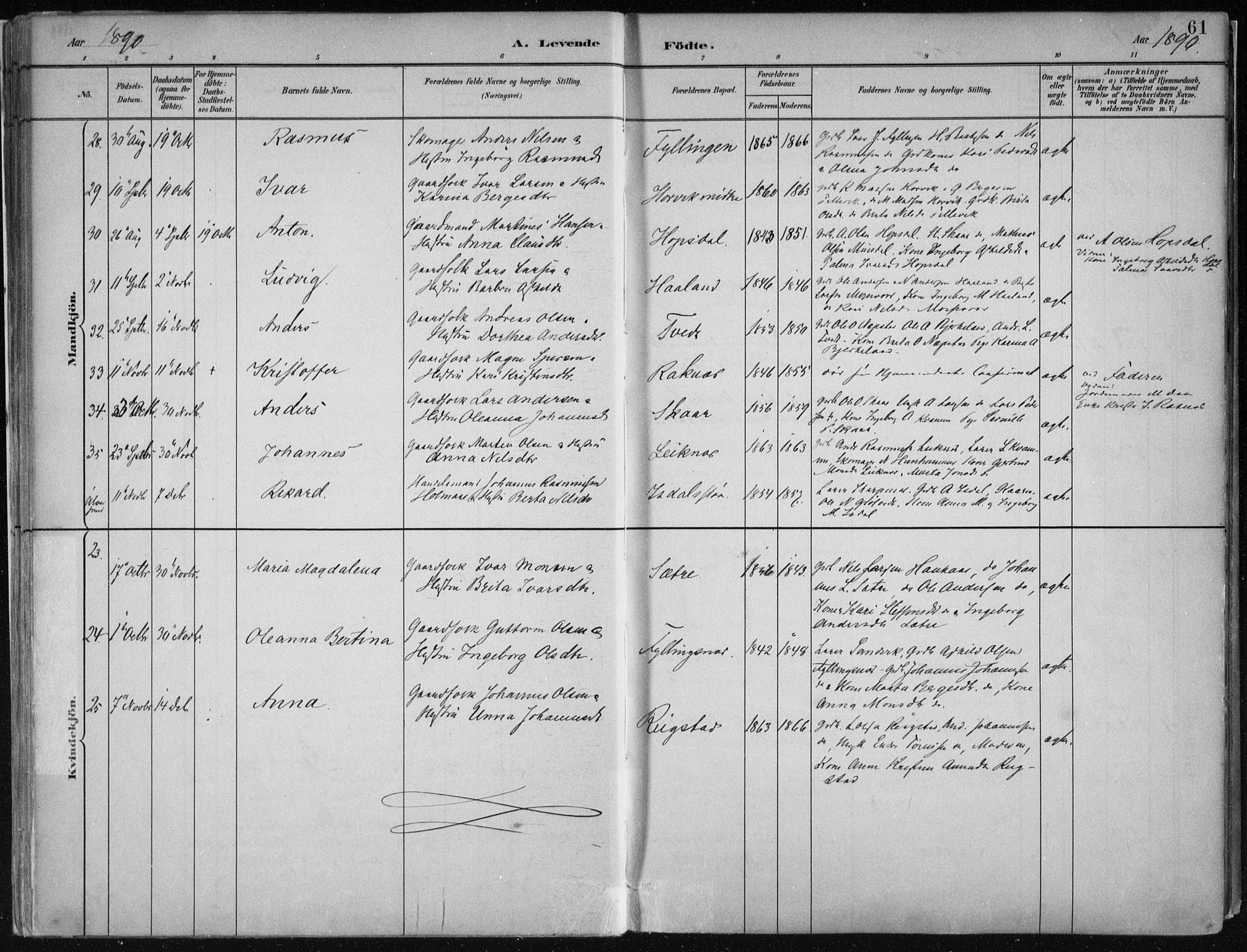 Hamre sokneprestembete, AV/SAB-A-75501/H/Ha/Haa/Haab/L0001: Parish register (official) no. B  1, 1882-1905, p. 61