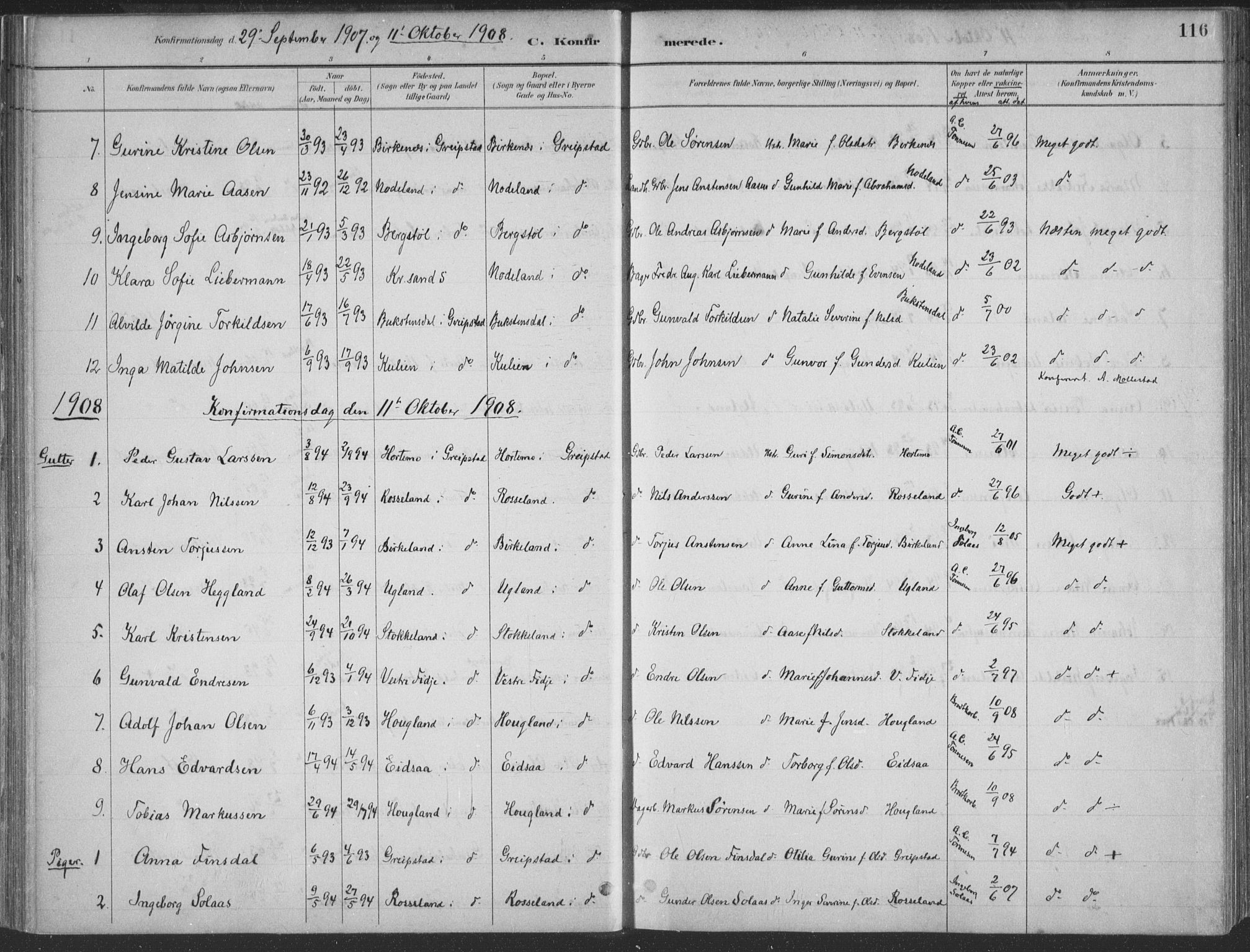 Søgne sokneprestkontor, SAK/1111-0037/F/Fa/Faa/L0003: Parish register (official) no. A 3, 1883-1910, p. 116