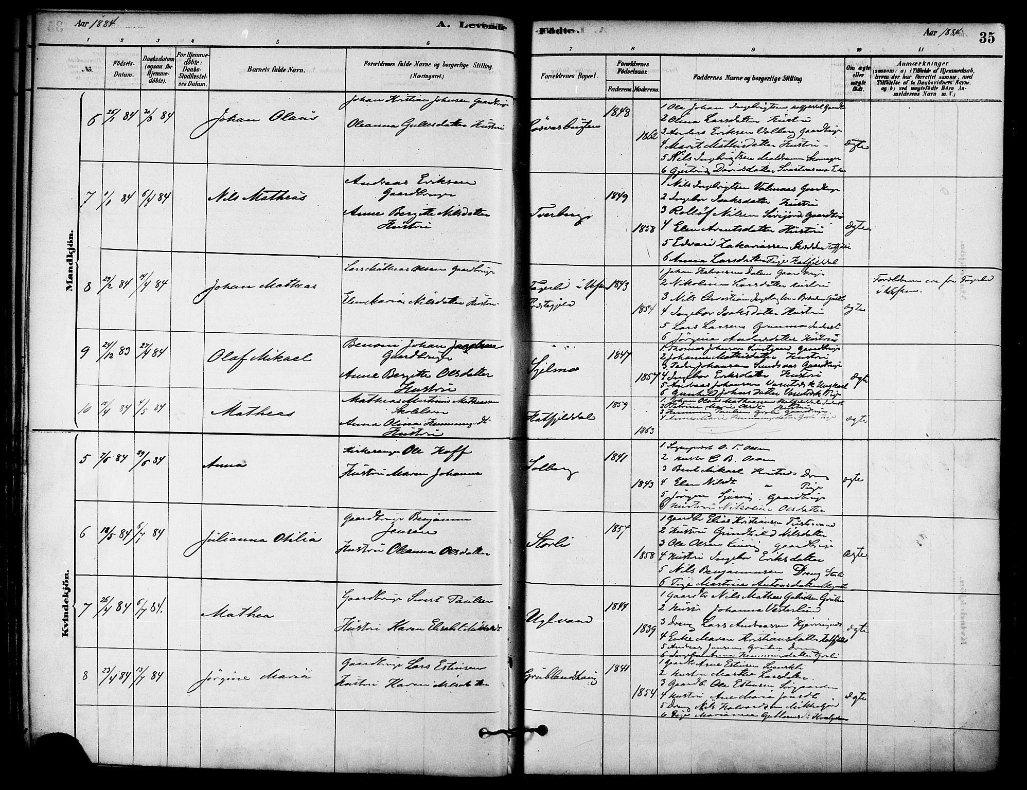 Ministerialprotokoller, klokkerbøker og fødselsregistre - Nordland, AV/SAT-A-1459/823/L0325: Parish register (official) no. 823A02, 1878-1898, p. 35