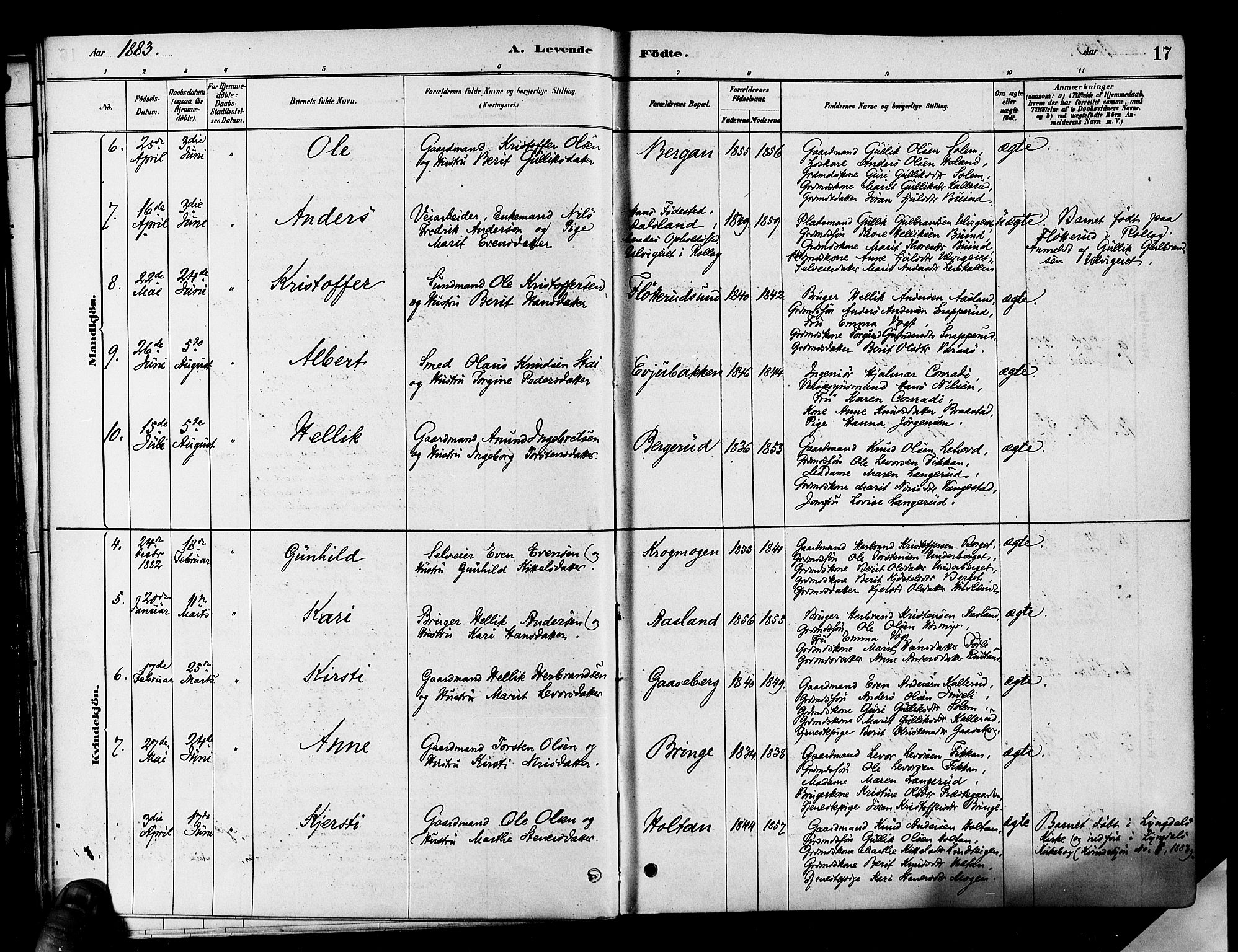 Flesberg kirkebøker, SAKO/A-18/F/Fa/L0008: Parish register (official) no. I 8, 1879-1899, p. 17