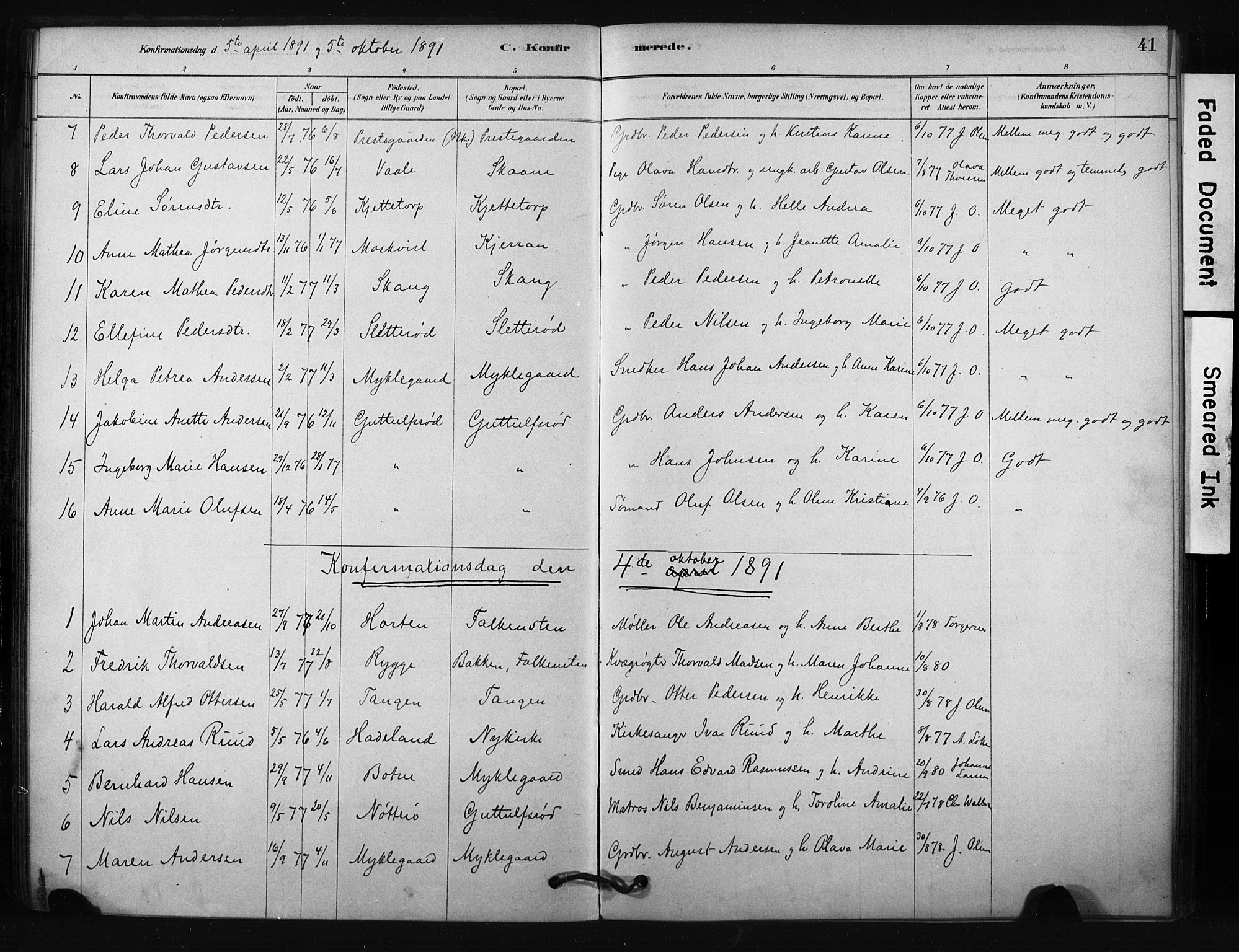 Borre kirkebøker, SAKO/A-338/F/Fc/L0001: Parish register (official) no. III 1, 1878-1896, p. 41