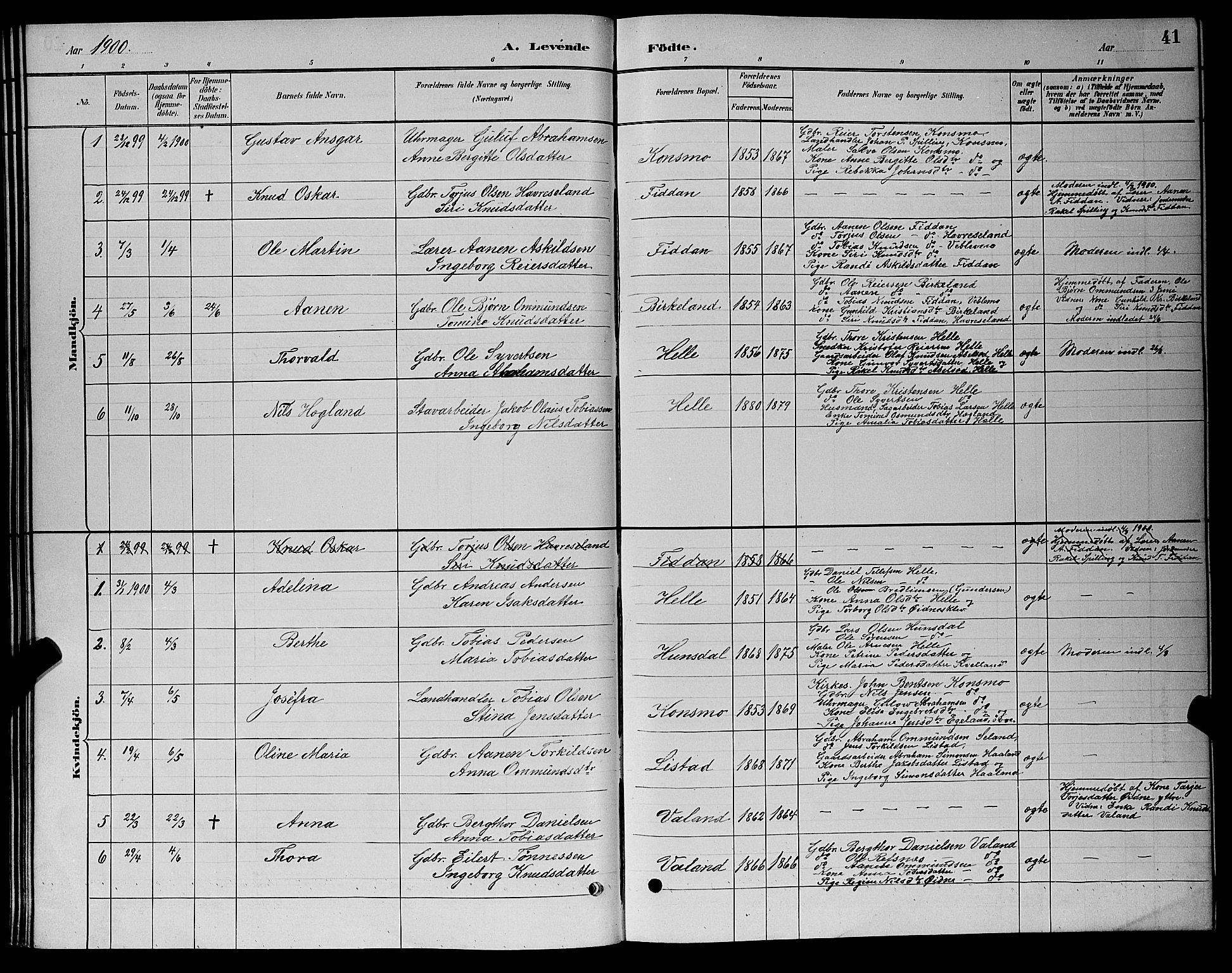 Nord-Audnedal sokneprestkontor, AV/SAK-1111-0032/F/Fb/Fba/L0003: Parish register (copy) no. B 3, 1881-1900, p. 41