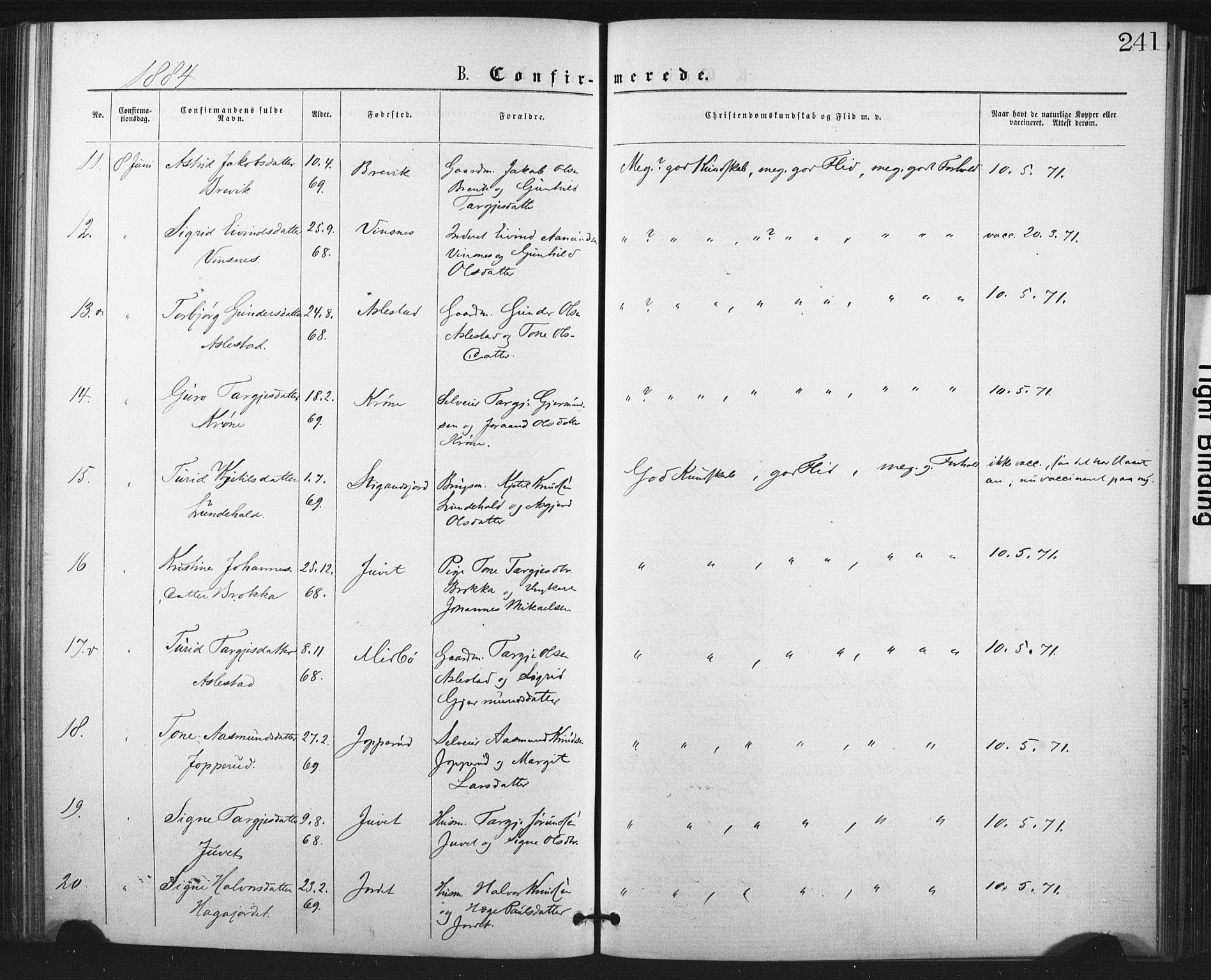 Fyresdal kirkebøker, SAKO/A-263/F/Fa/L0006: Parish register (official) no. I 6, 1872-1886, p. 241