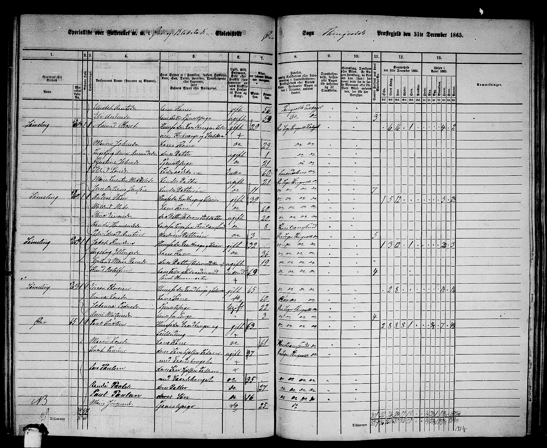 RA, 1865 census for Tingvoll, 1865, p. 196