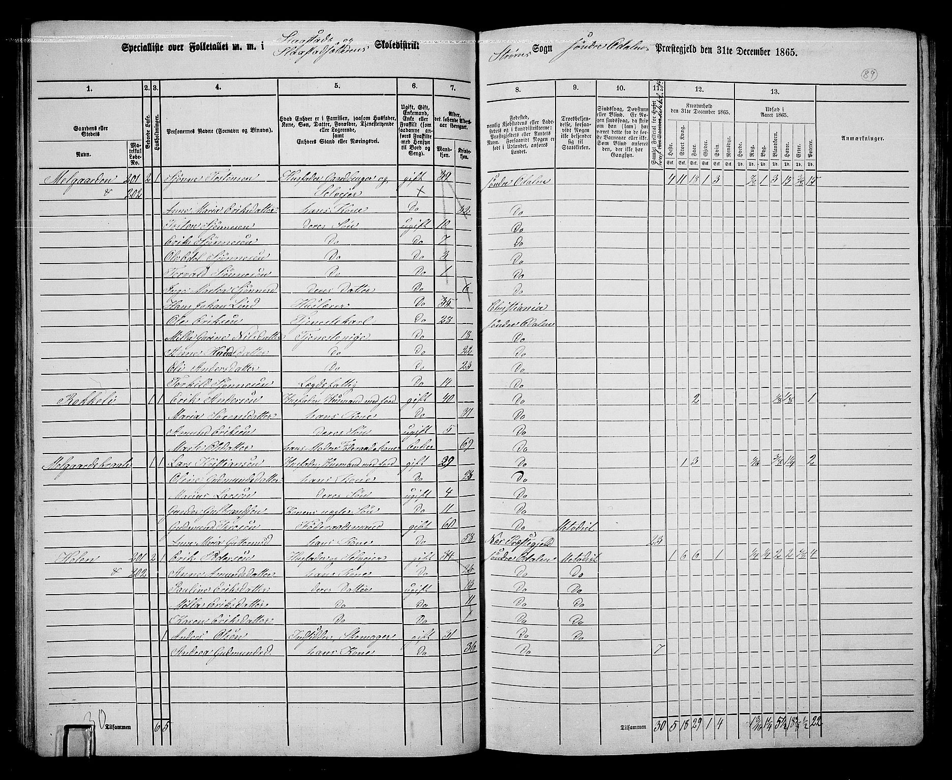 RA, 1865 census for Sør-Odal, 1865, p. 79