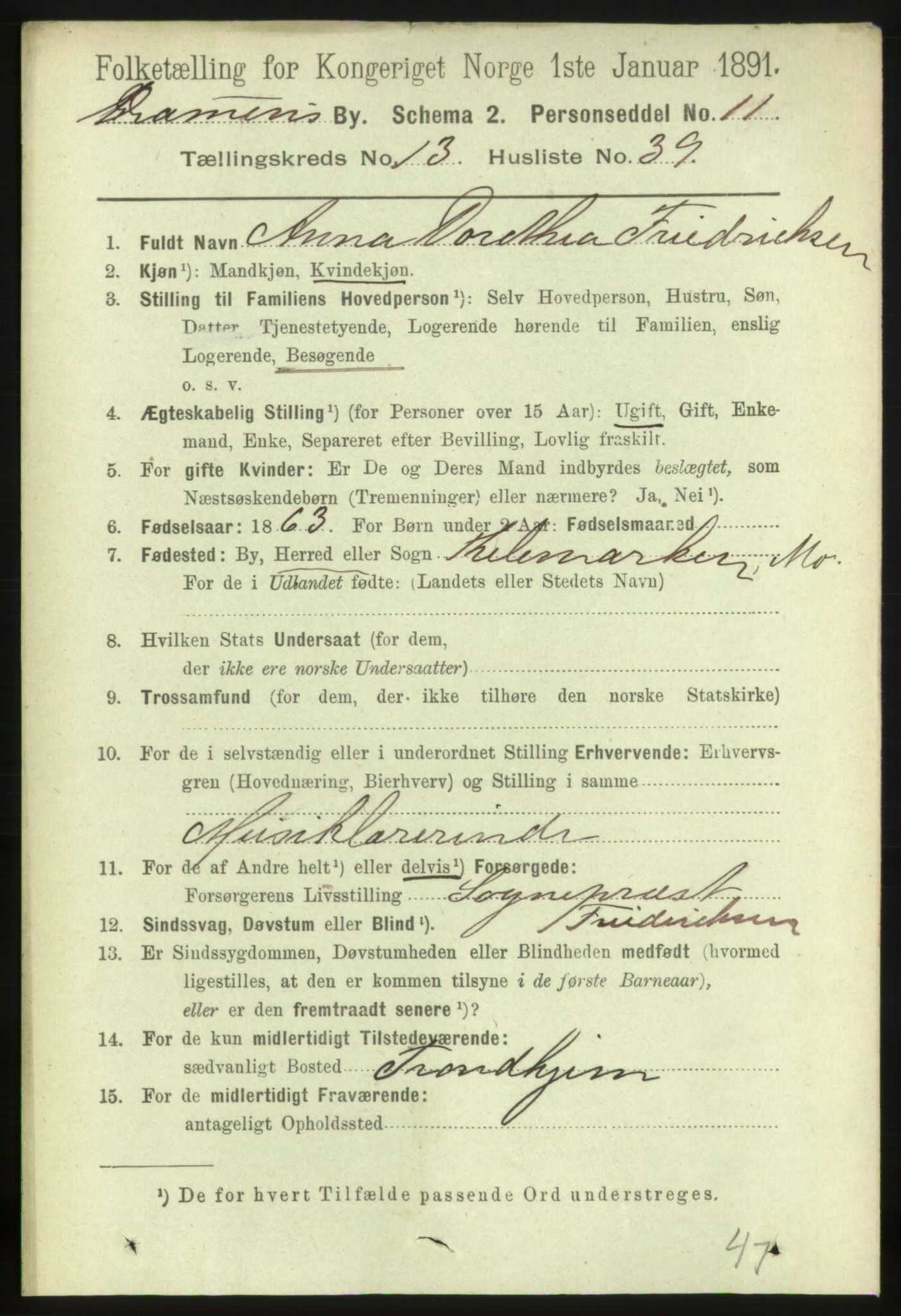 RA, 1891 census for 0602 Drammen, 1891, p. 10048