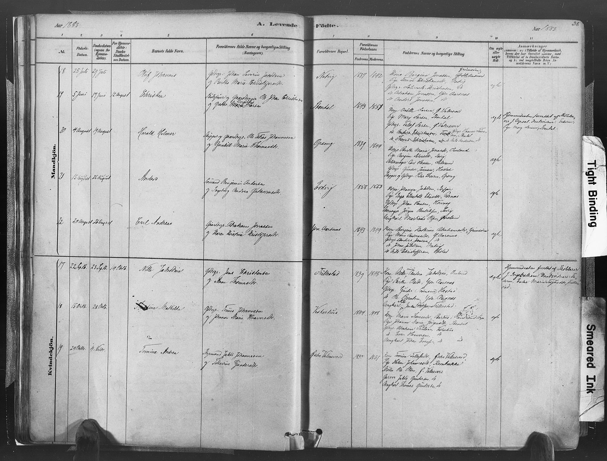 Høvåg sokneprestkontor, AV/SAK-1111-0025/F/Fa/L0005: Parish register (official) no. A 5, 1878-1893, p. 38