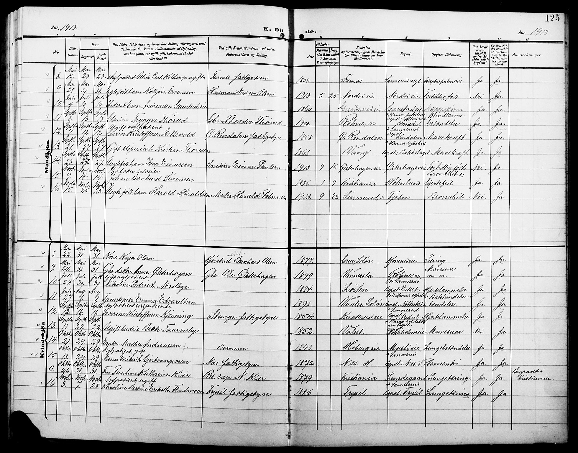 Stange prestekontor, AV/SAH-PREST-002/L/L0013: Parish register (copy) no. 13, 1906-1915, p. 125