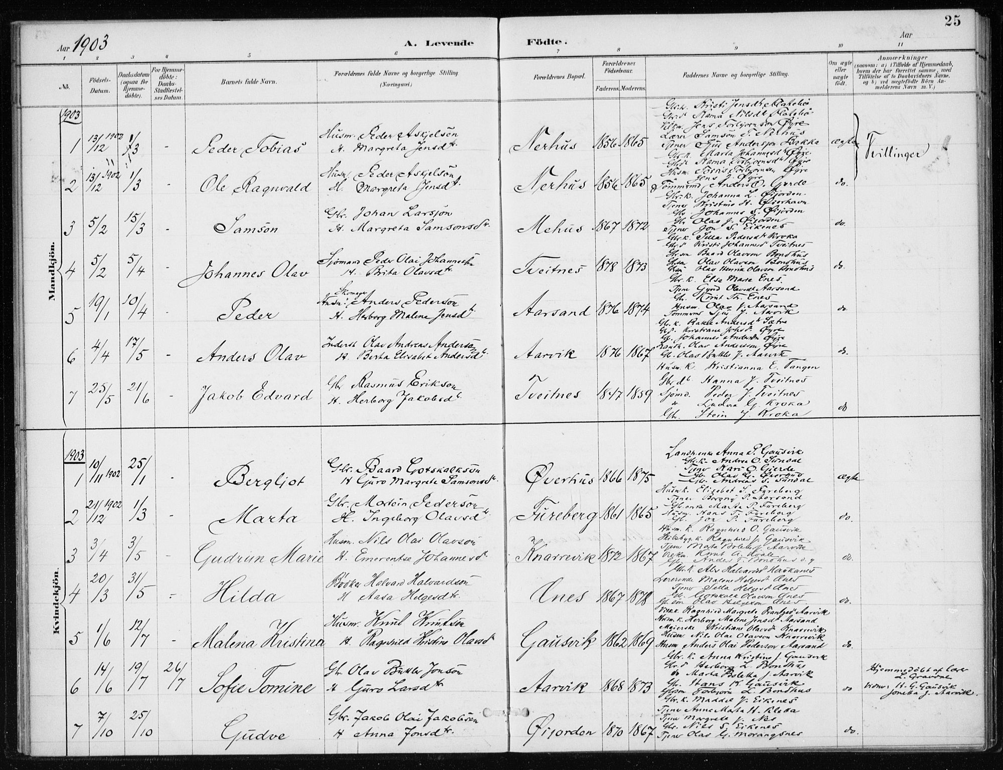Kvinnherad sokneprestembete, SAB/A-76401/H/Haa: Parish register (official) no. F 1, 1887-1912, p. 25