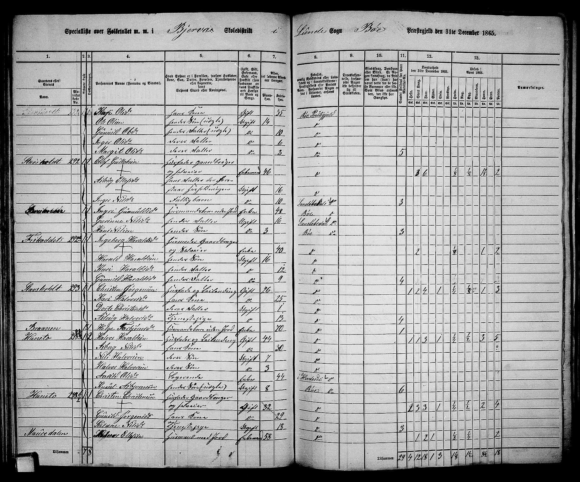 RA, 1865 census for Bø, 1865, p. 52