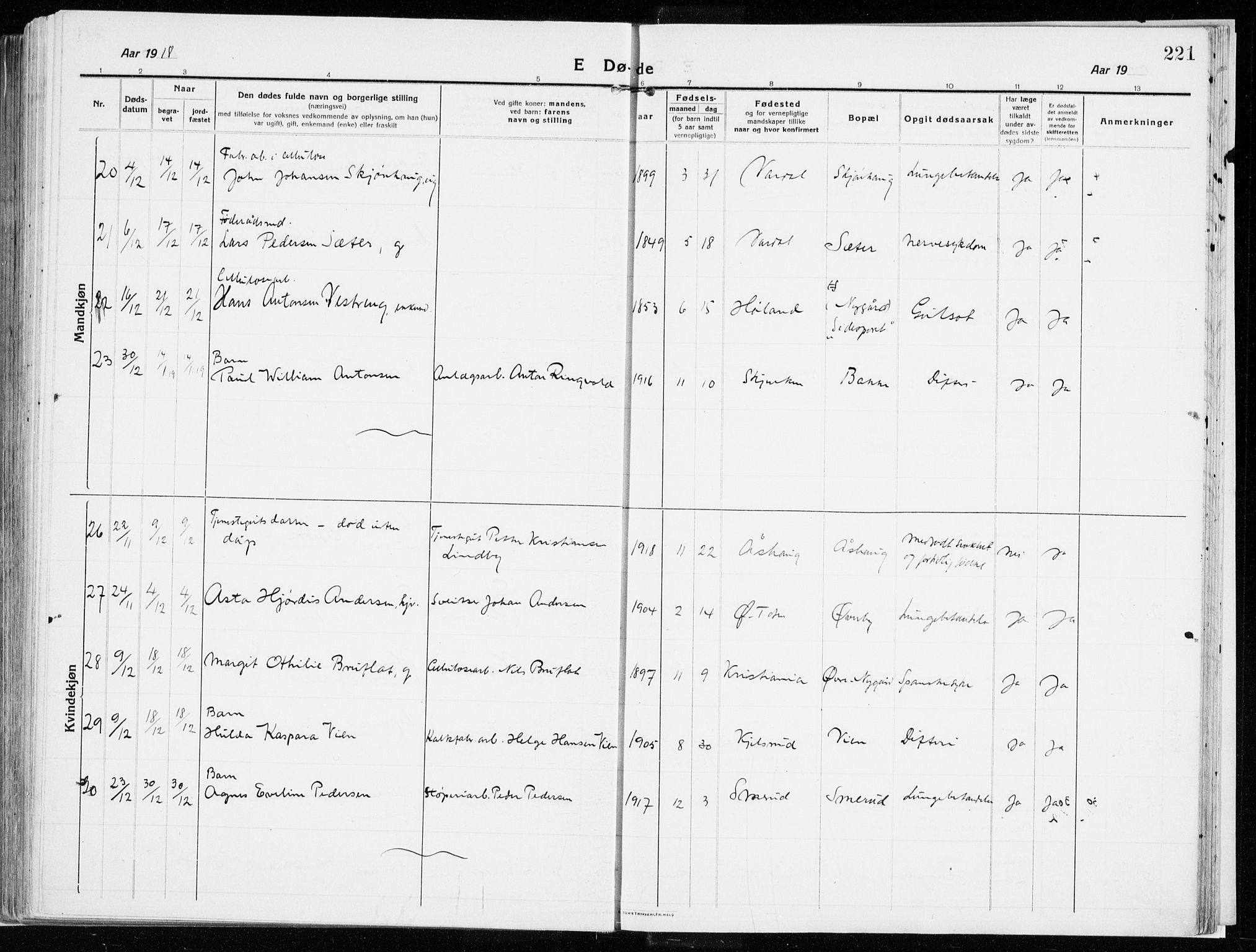 Vardal prestekontor, AV/SAH-PREST-100/H/Ha/Haa/L0017: Parish register (official) no. 17, 1915-1929, p. 221