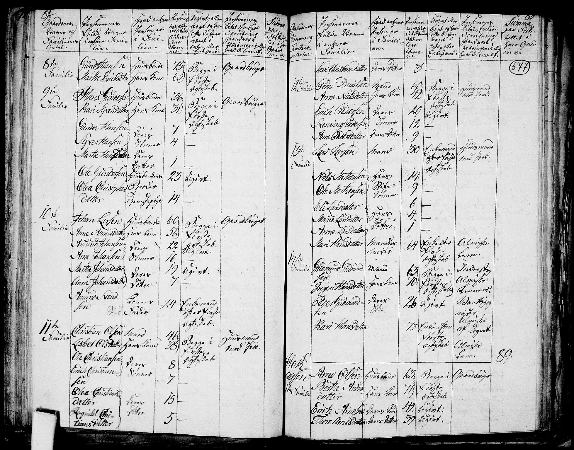 RA, 1801 census for 0423P Grue, 1801, p. 576b-577a