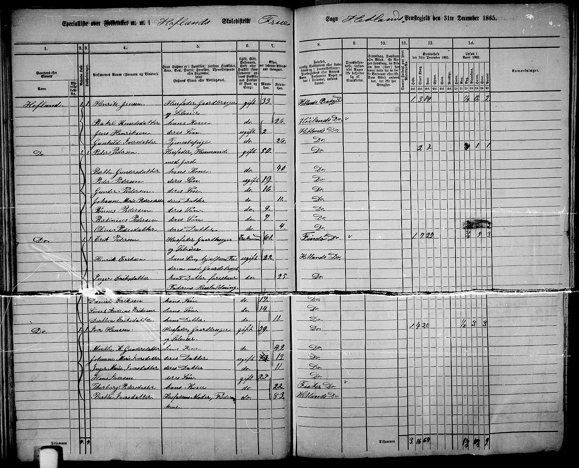 RA, 1865 census for Hetland, 1865, p. 28