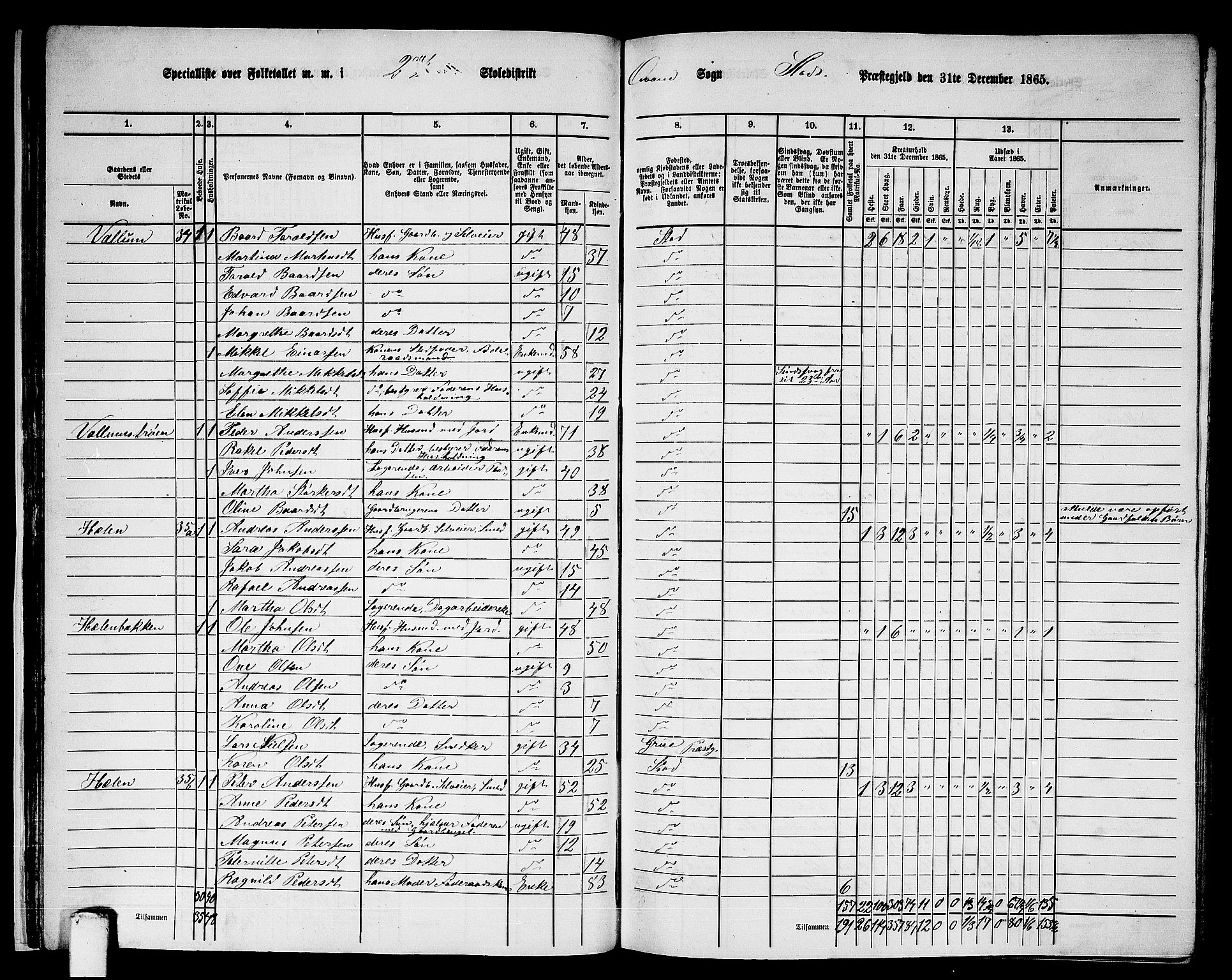 RA, 1865 census for Stod, 1865, p. 31