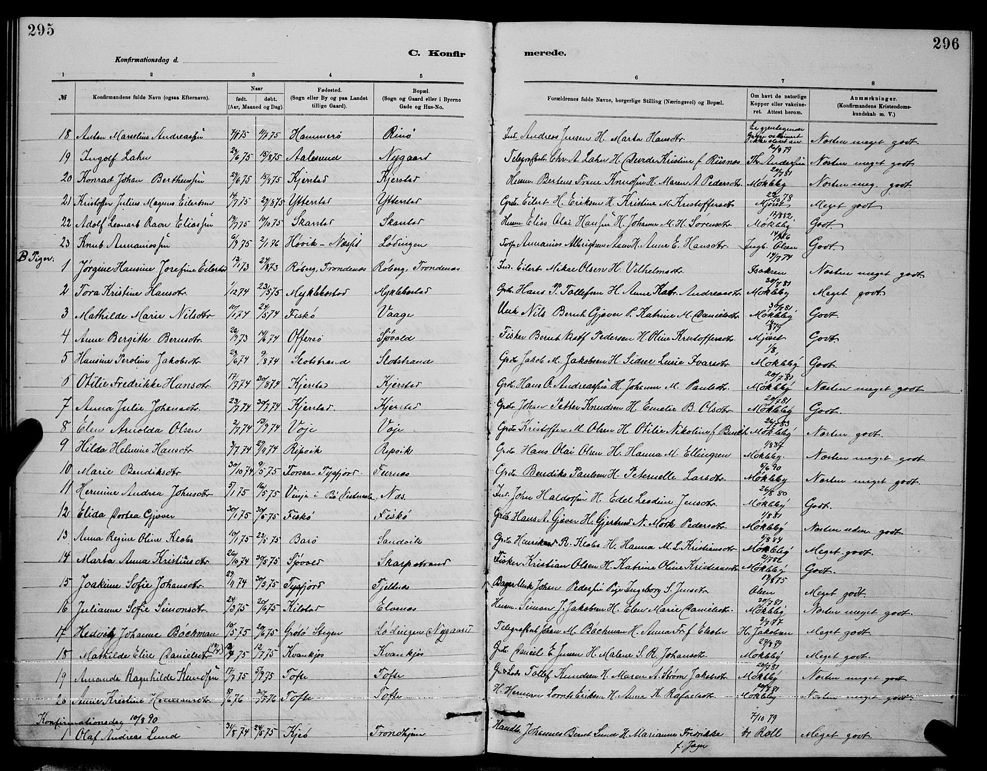 Ministerialprotokoller, klokkerbøker og fødselsregistre - Nordland, AV/SAT-A-1459/872/L1047: Parish register (copy) no. 872C03, 1880-1897, p. 295-296