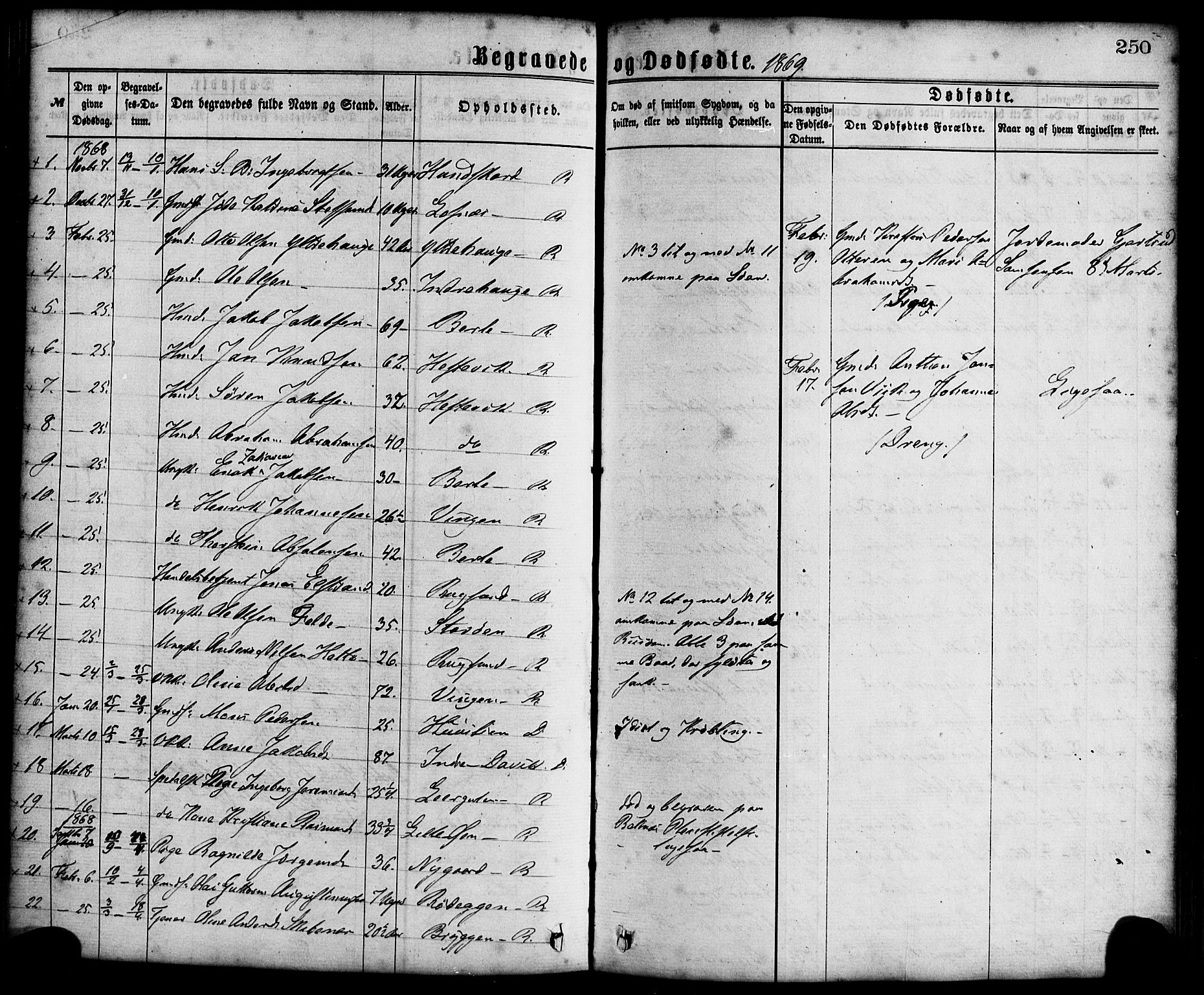 Davik sokneprestembete, AV/SAB-A-79701/H/Haa/Haaa/L0006: Parish register (official) no. A 6, 1867-1881, p. 250