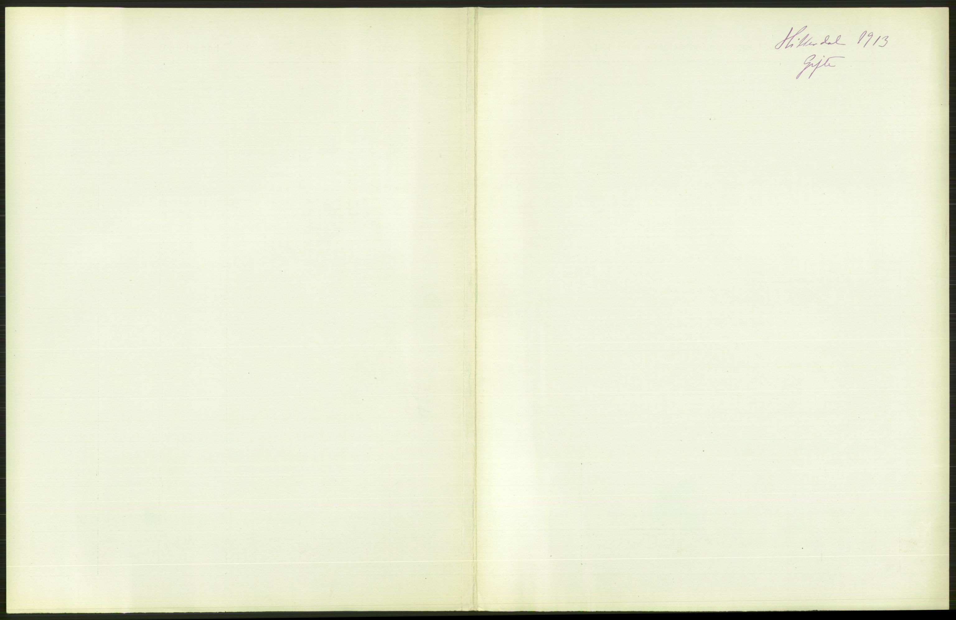 Statistisk sentralbyrå, Sosiodemografiske emner, Befolkning, AV/RA-S-2228/D/Df/Dfb/Dfbc/L0021: Bratsberg amt: Gifte, døde, dødfødte. Bygder og byer., 1913, p. 85