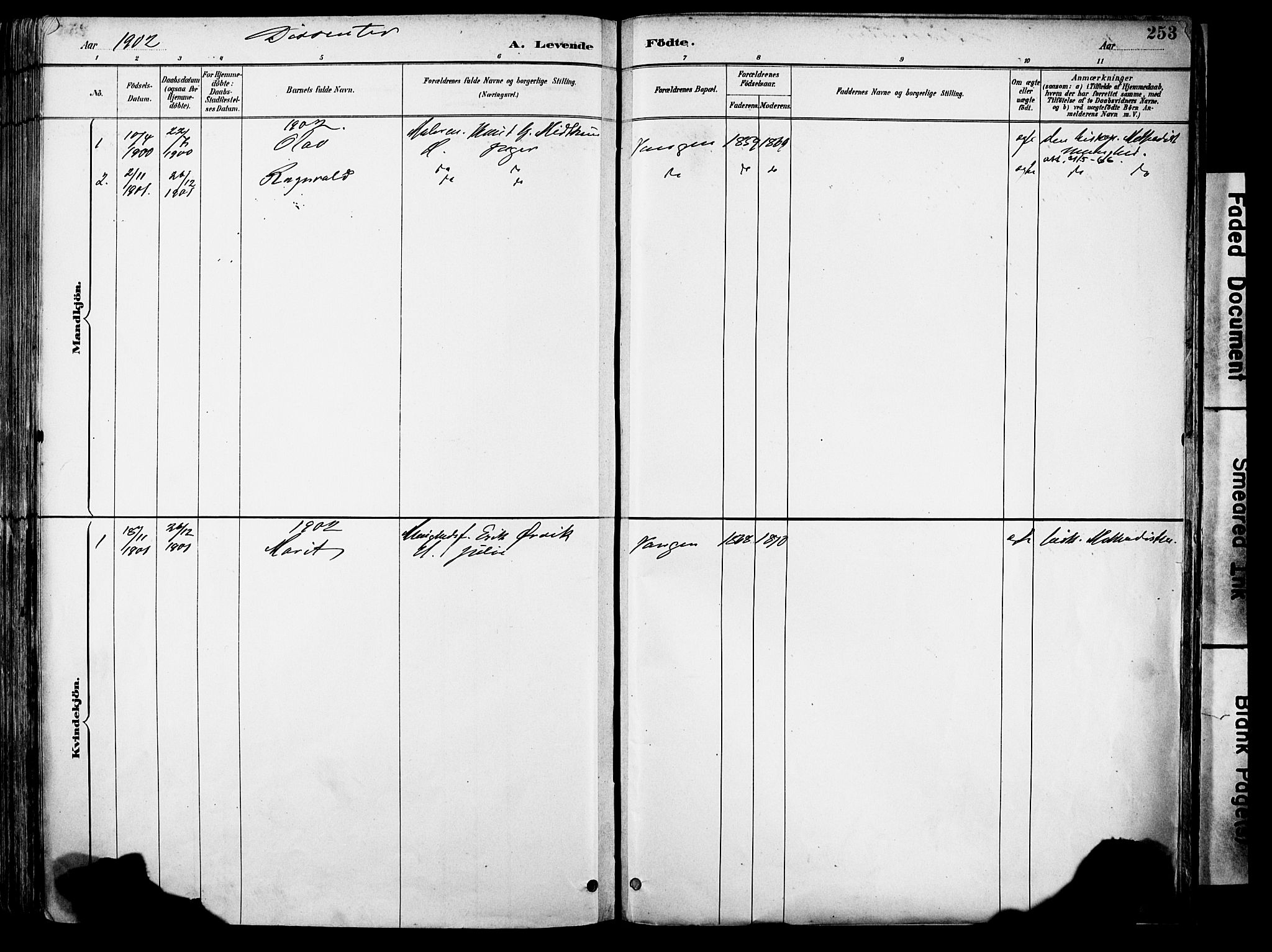 Voss sokneprestembete, SAB/A-79001/H/Haa: Parish register (official) no. A 21, 1887-1903, p. 252