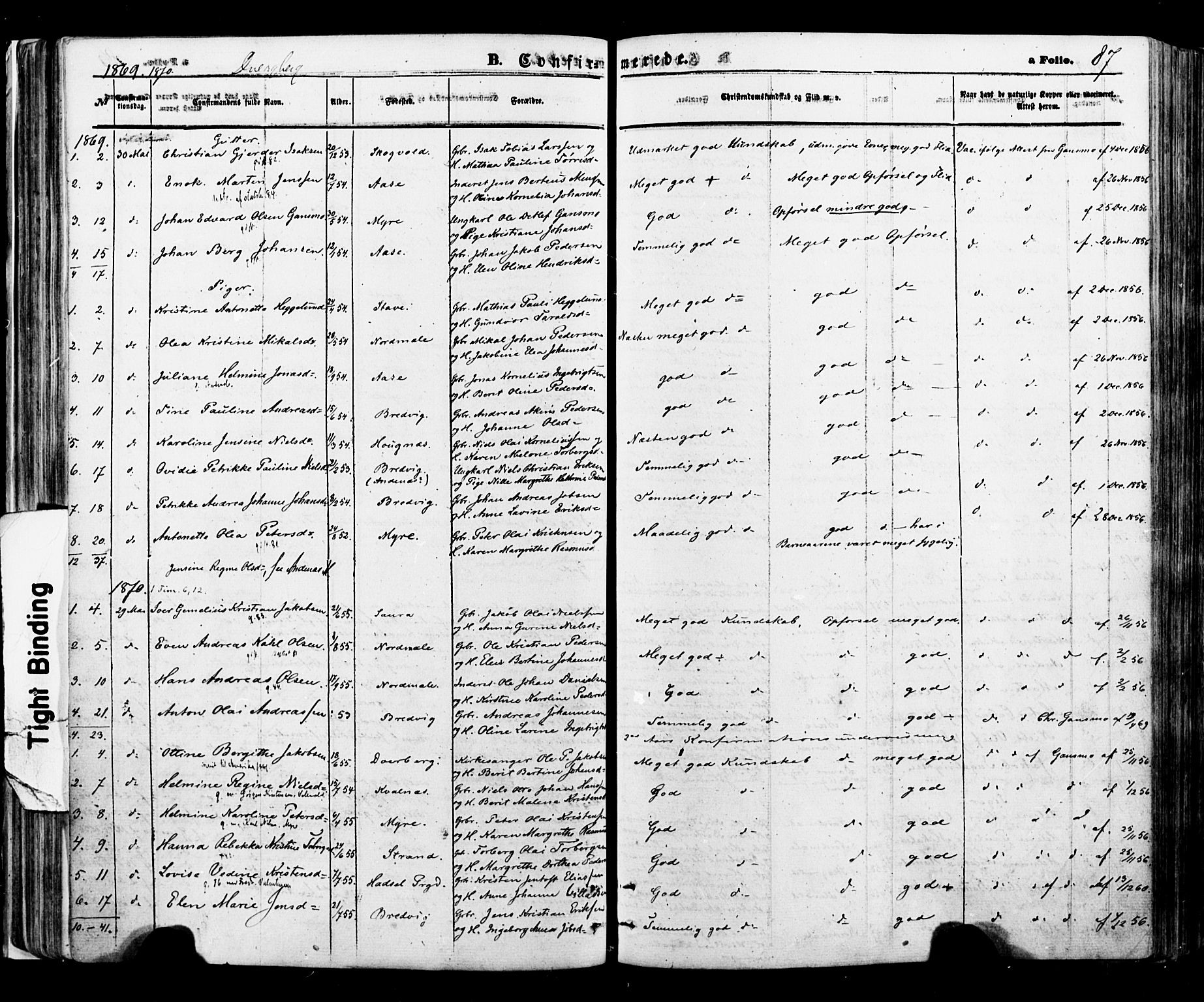 Ministerialprotokoller, klokkerbøker og fødselsregistre - Nordland, AV/SAT-A-1459/897/L1397: Parish register (official) no. 897A05 /1, 1867-1880, p. 87