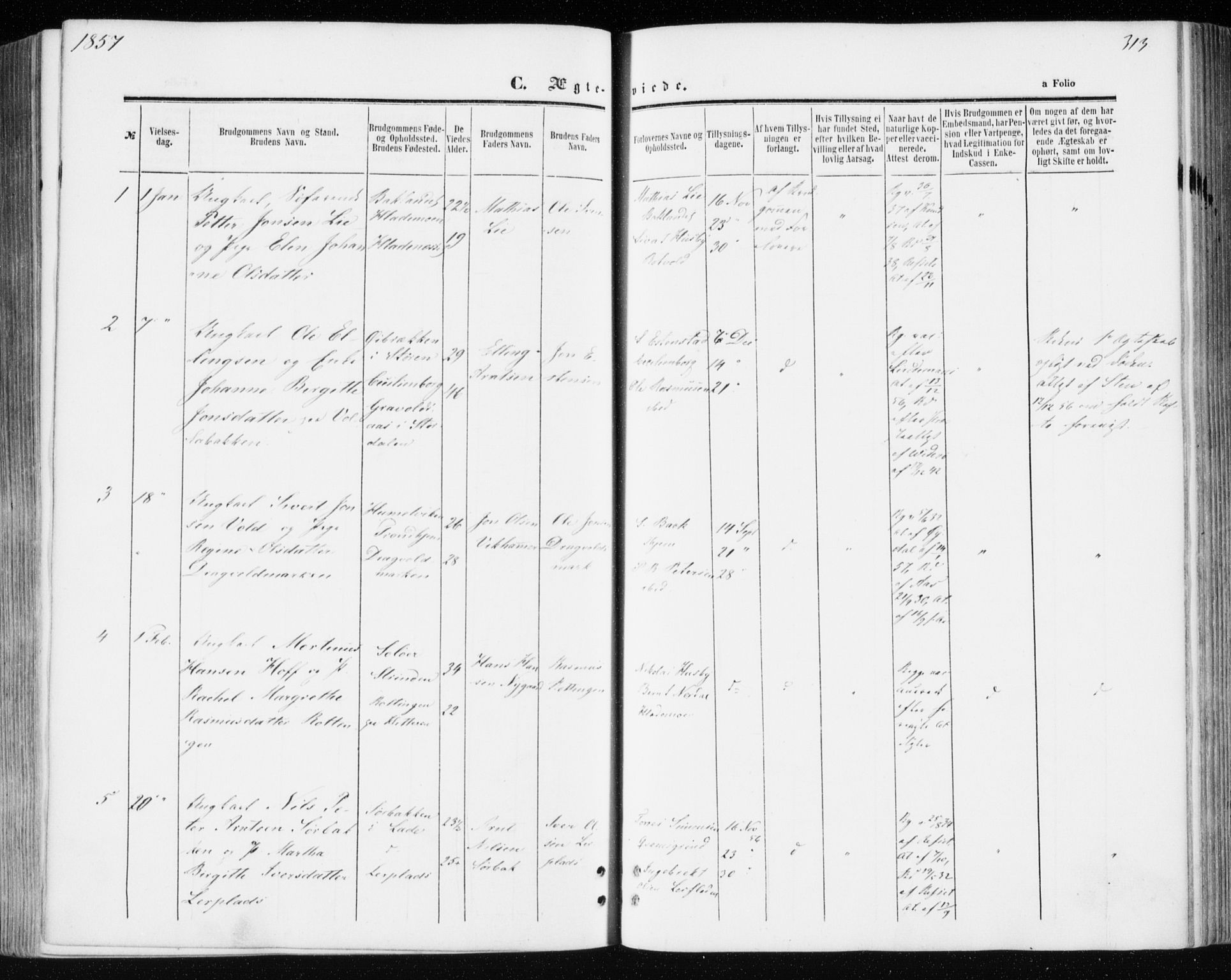 Ministerialprotokoller, klokkerbøker og fødselsregistre - Sør-Trøndelag, SAT/A-1456/606/L0292: Parish register (official) no. 606A07, 1856-1865, p. 313