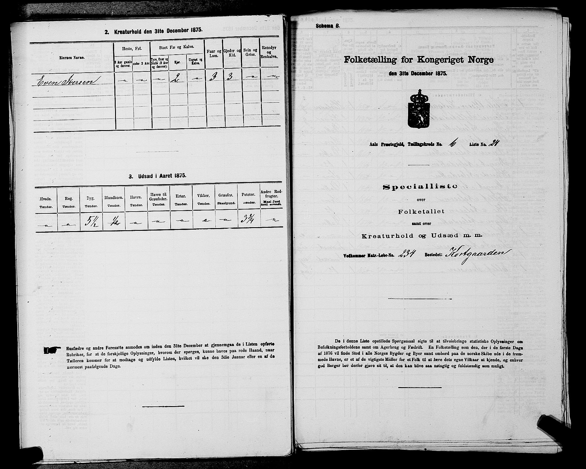 SAKO, 1875 census for 0619P Ål, 1875, p. 785