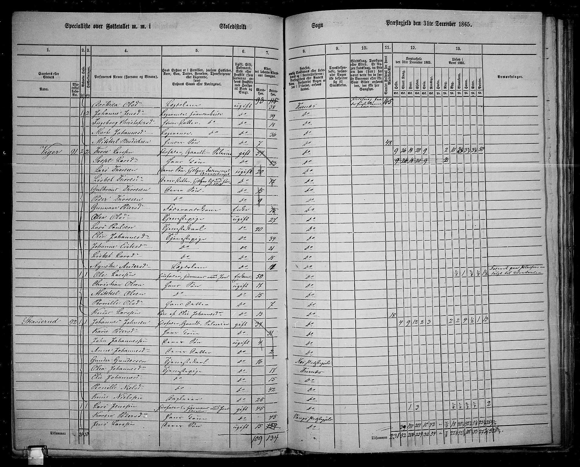 RA, 1865 census for Vang/Vang og Furnes, 1865, p. 96