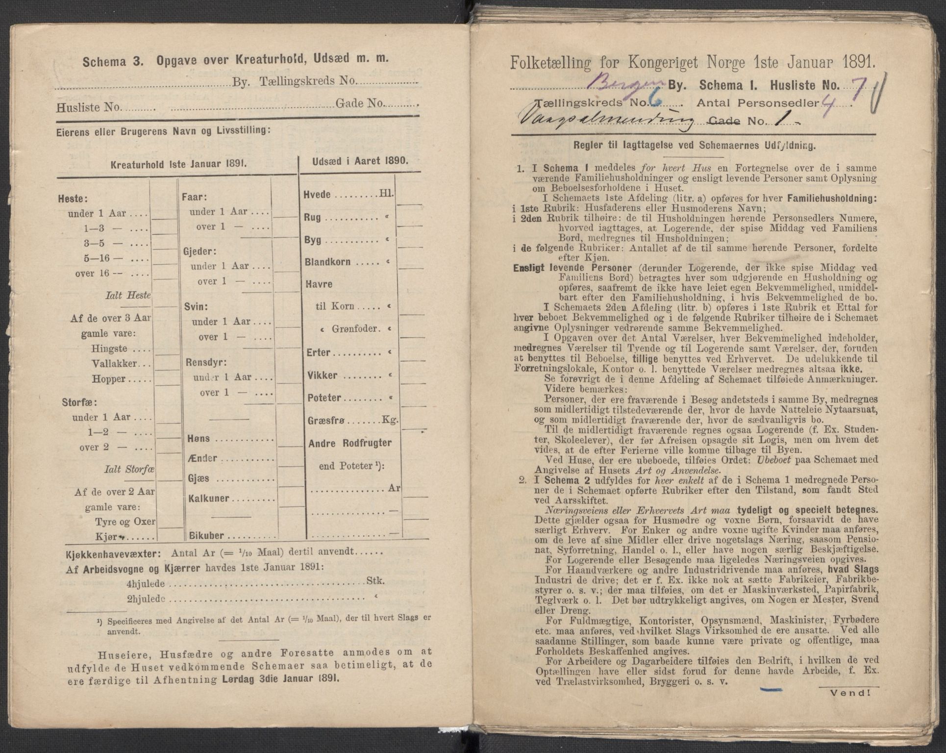 RA, 1891 Census for 1301 Bergen, 1891, p. 1013