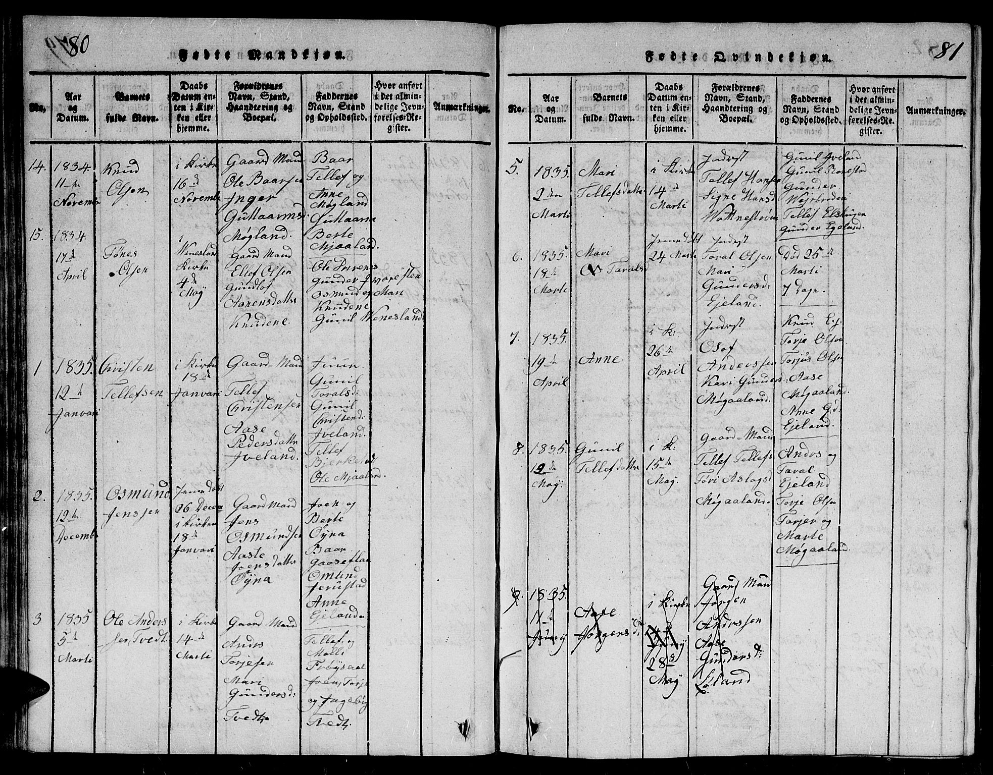 Evje sokneprestkontor, SAK/1111-0008/F/Fb/Fbc/L0001: Parish register (copy) no. B 1, 1816-1836, p. 80-81