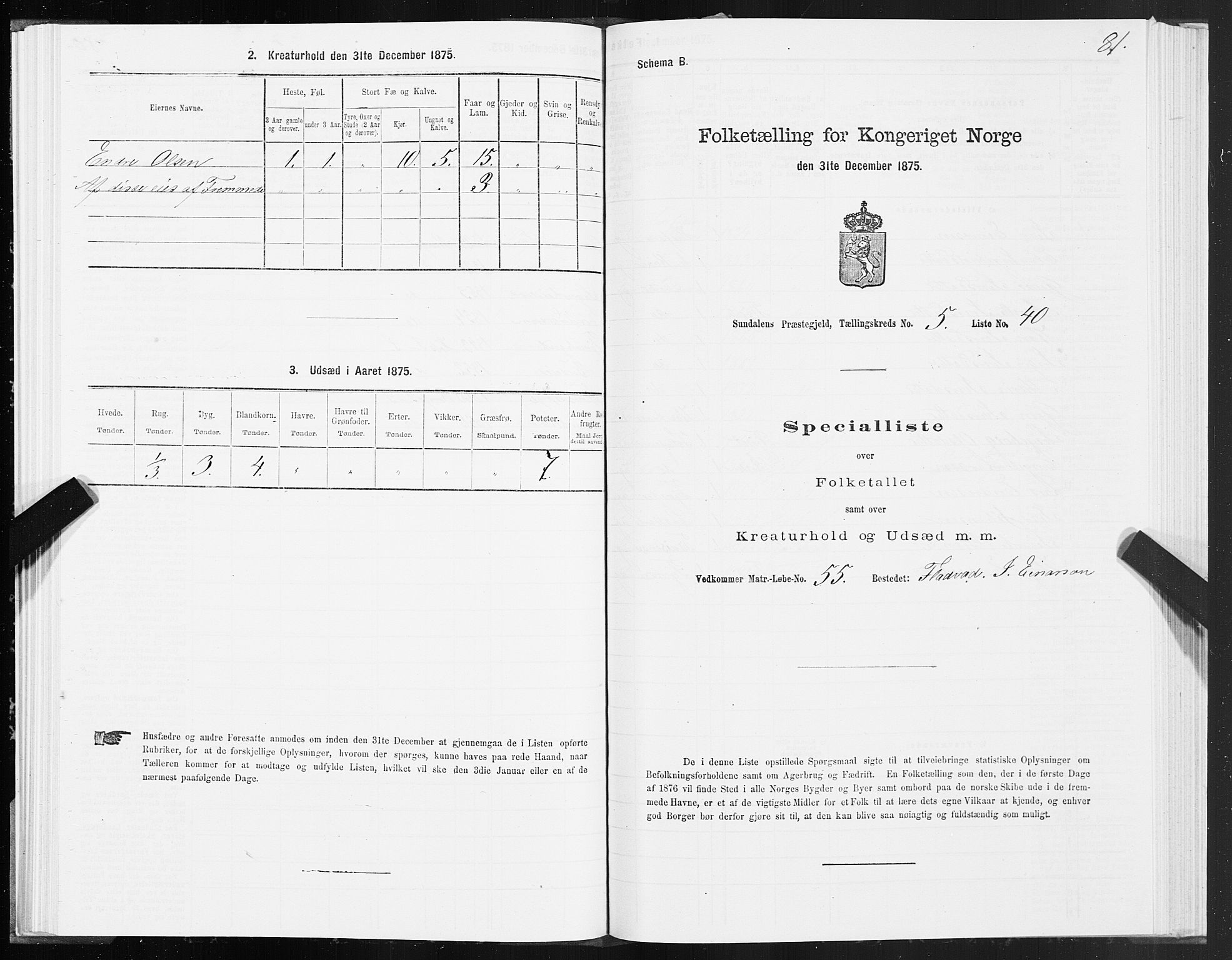 SAT, 1875 census for 1563P Sunndal, 1875, p. 2081