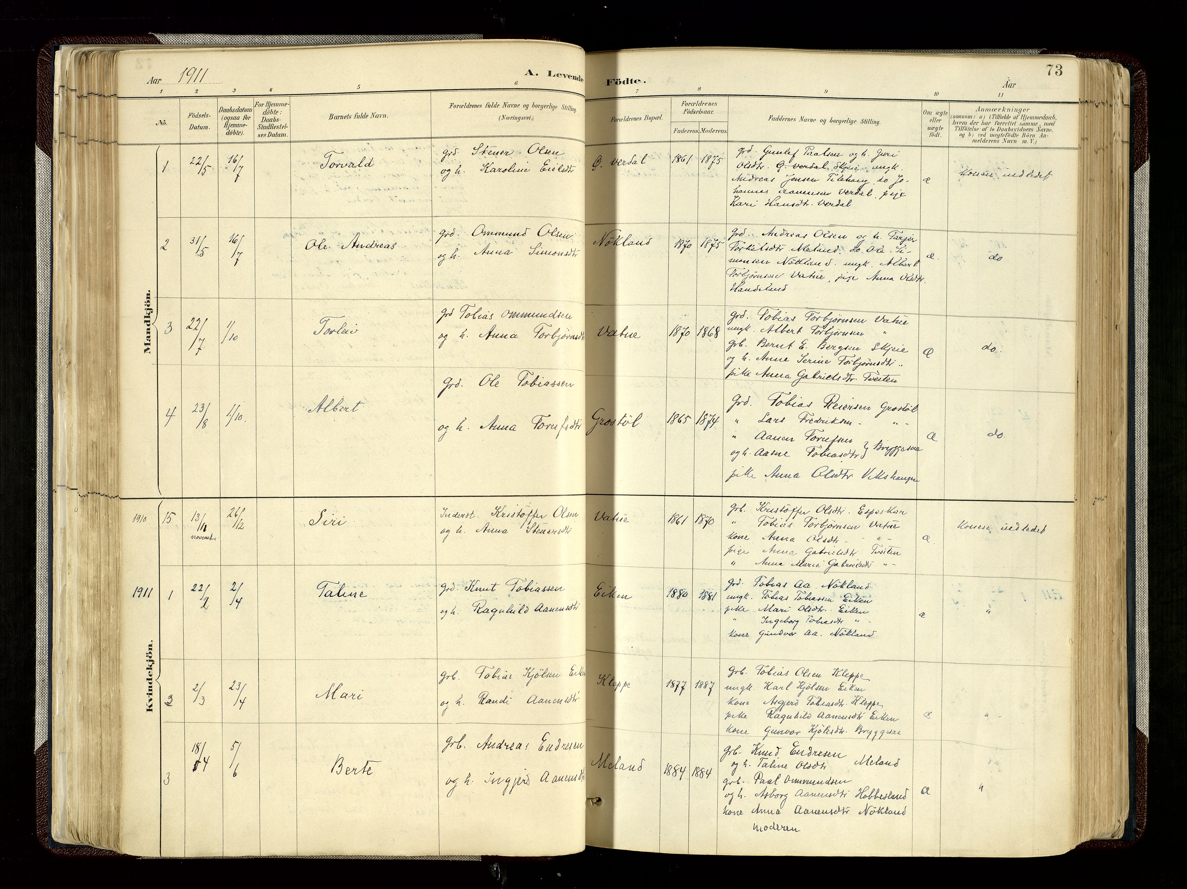 Hægebostad sokneprestkontor, SAK/1111-0024/F/Fa/Fab/L0004: Parish register (official) no. A 4, 1887-1929, p. 73
