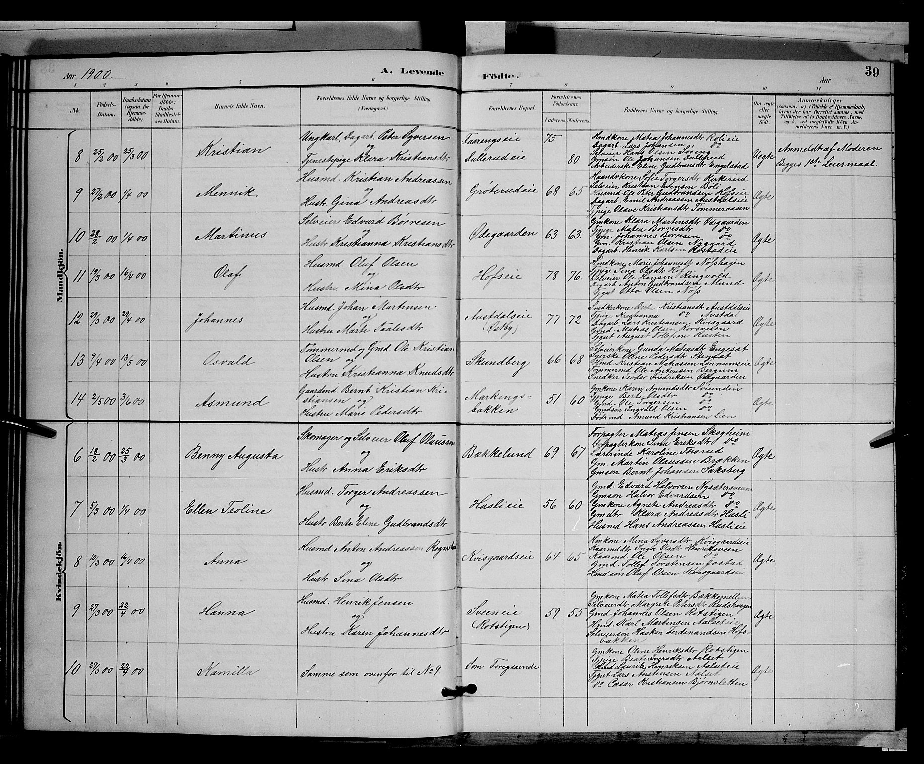 Biri prestekontor, SAH/PREST-096/H/Ha/Hab/L0003: Parish register (copy) no. 3, 1892-1905, p. 39