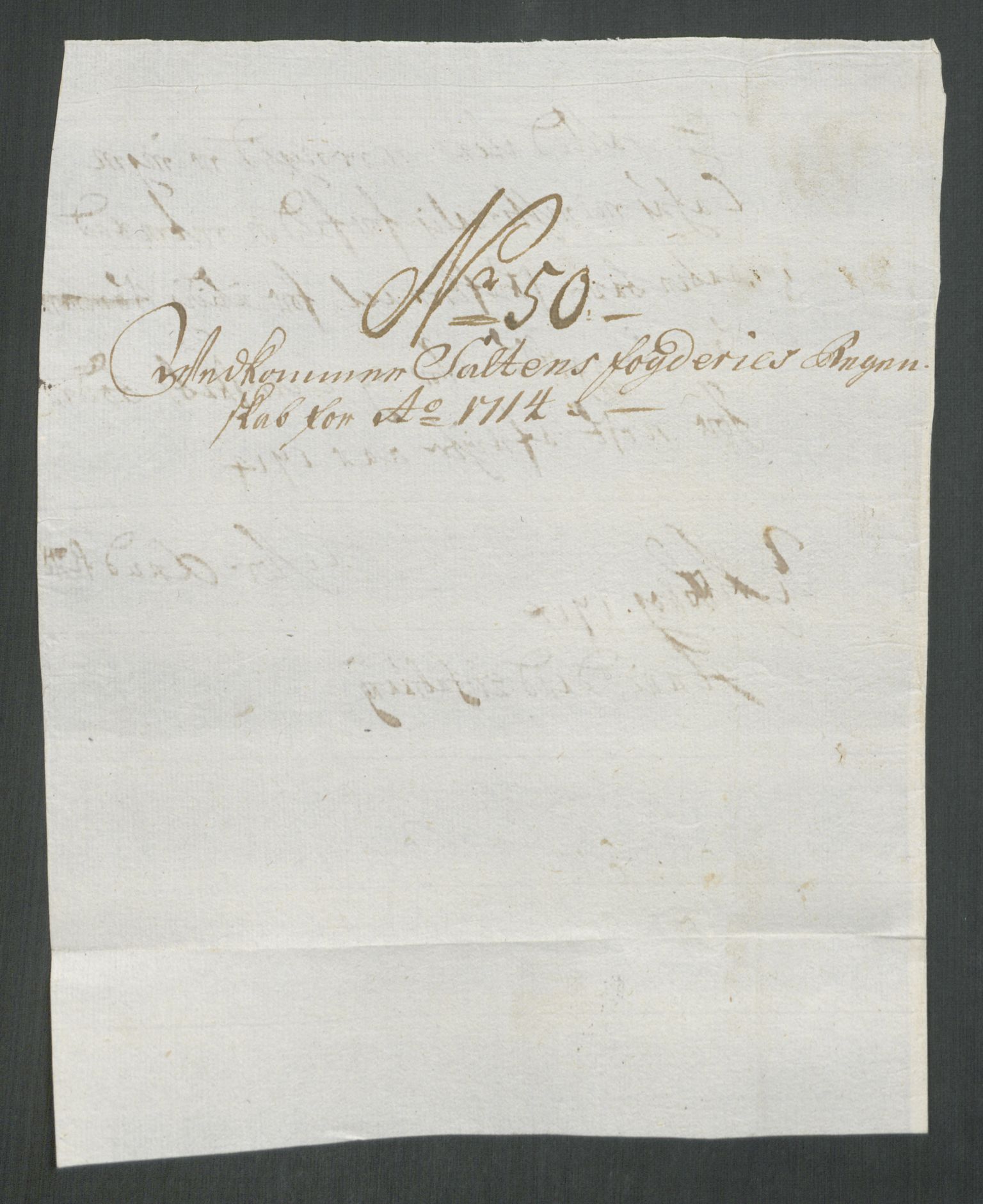 Rentekammeret inntil 1814, Reviderte regnskaper, Fogderegnskap, AV/RA-EA-4092/R66/L4584: Fogderegnskap Salten, 1714, p. 310