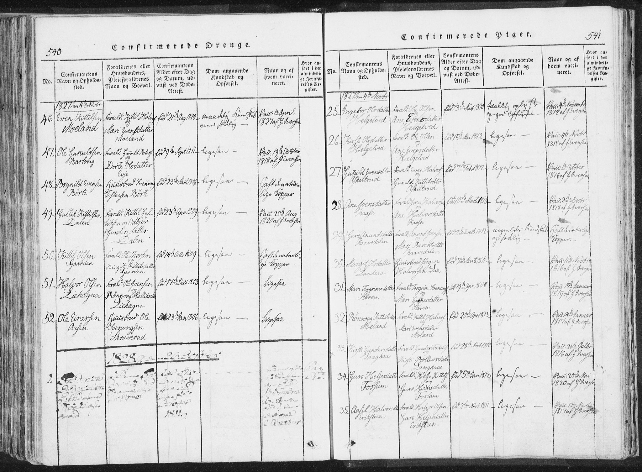 Bø kirkebøker, AV/SAKO-A-257/F/Fa/L0006: Parish register (official) no. 6, 1815-1831, p. 540-541