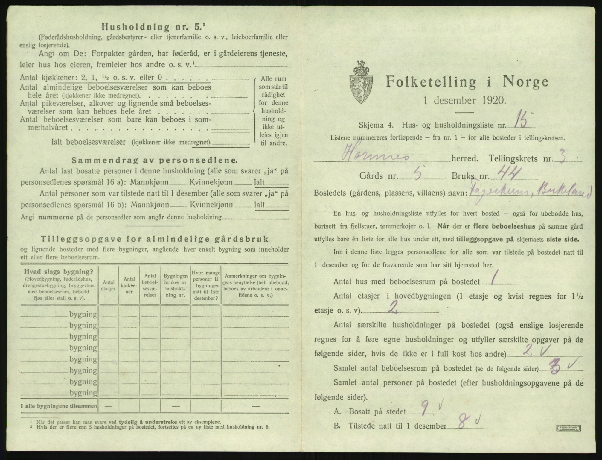 SAK, 1920 census for Hornnes, 1920, p. 145