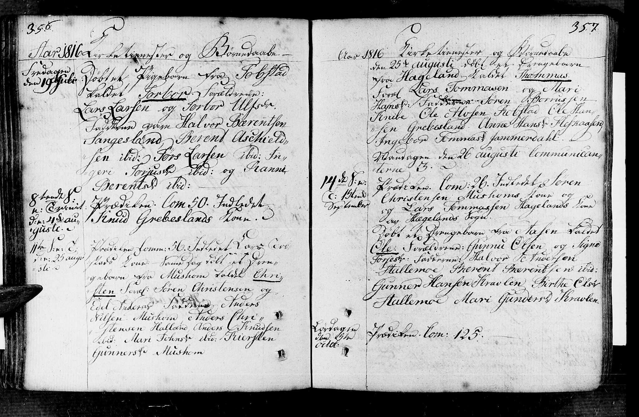 Vennesla sokneprestkontor, AV/SAK-1111-0045/Fa/Fac/L0002: Parish register (official) no. A 2, 1785-1834, p. 356-357