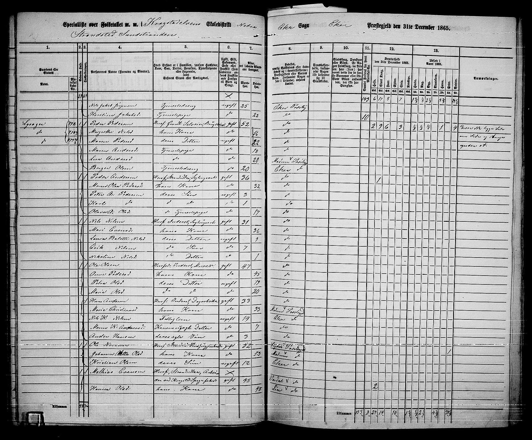 RA, 1865 census for Eiker, 1865, p. 372