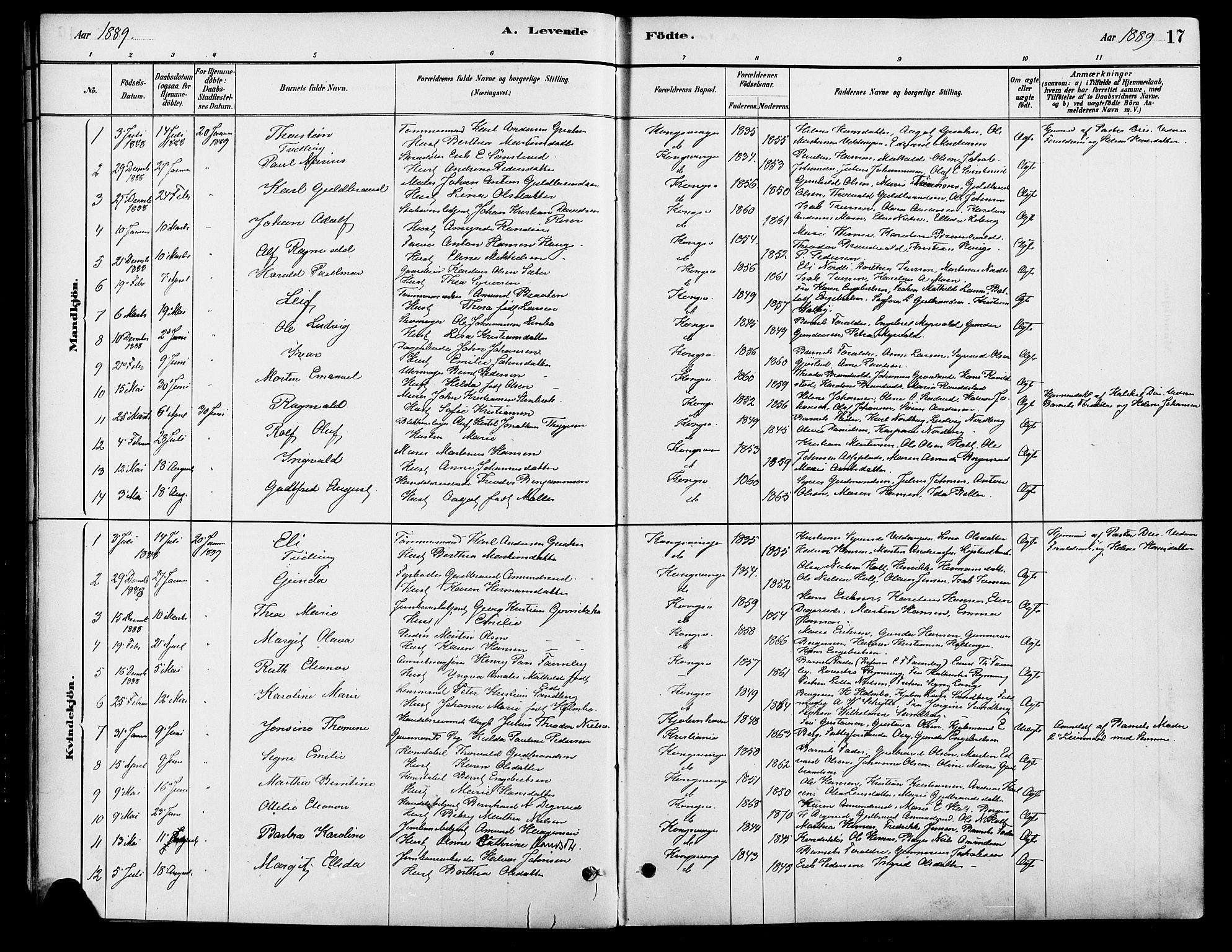 Vinger prestekontor, SAH/PREST-024/H/Ha/Haa/L0013: Parish register (official) no. 13, 1881-1897, p. 17