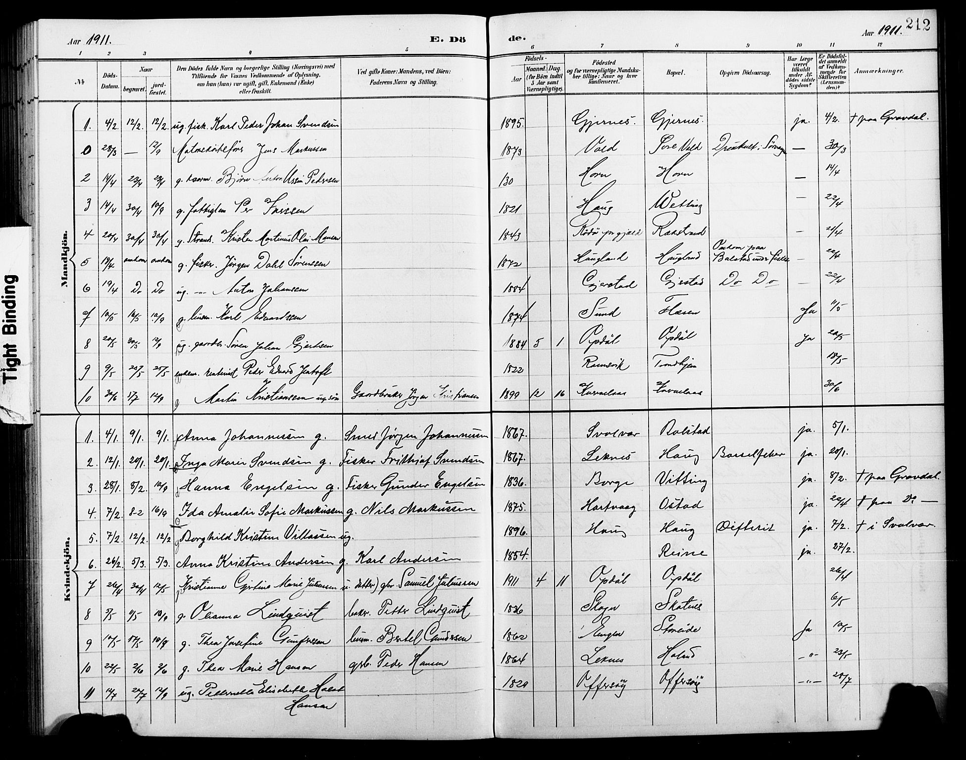 Ministerialprotokoller, klokkerbøker og fødselsregistre - Nordland, AV/SAT-A-1459/881/L1168: Parish register (copy) no. 881C05, 1900-1911, p. 212